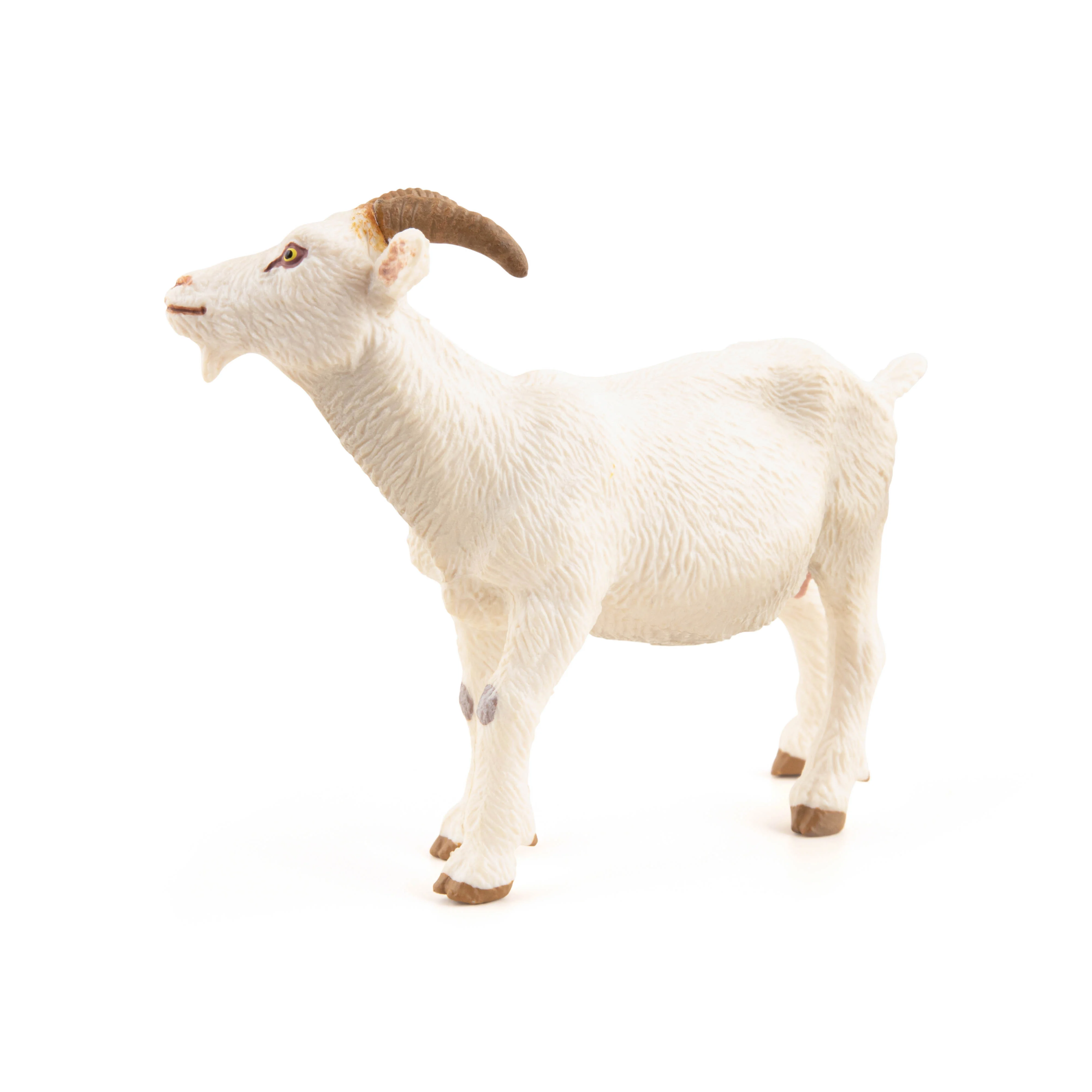 Miniature 4