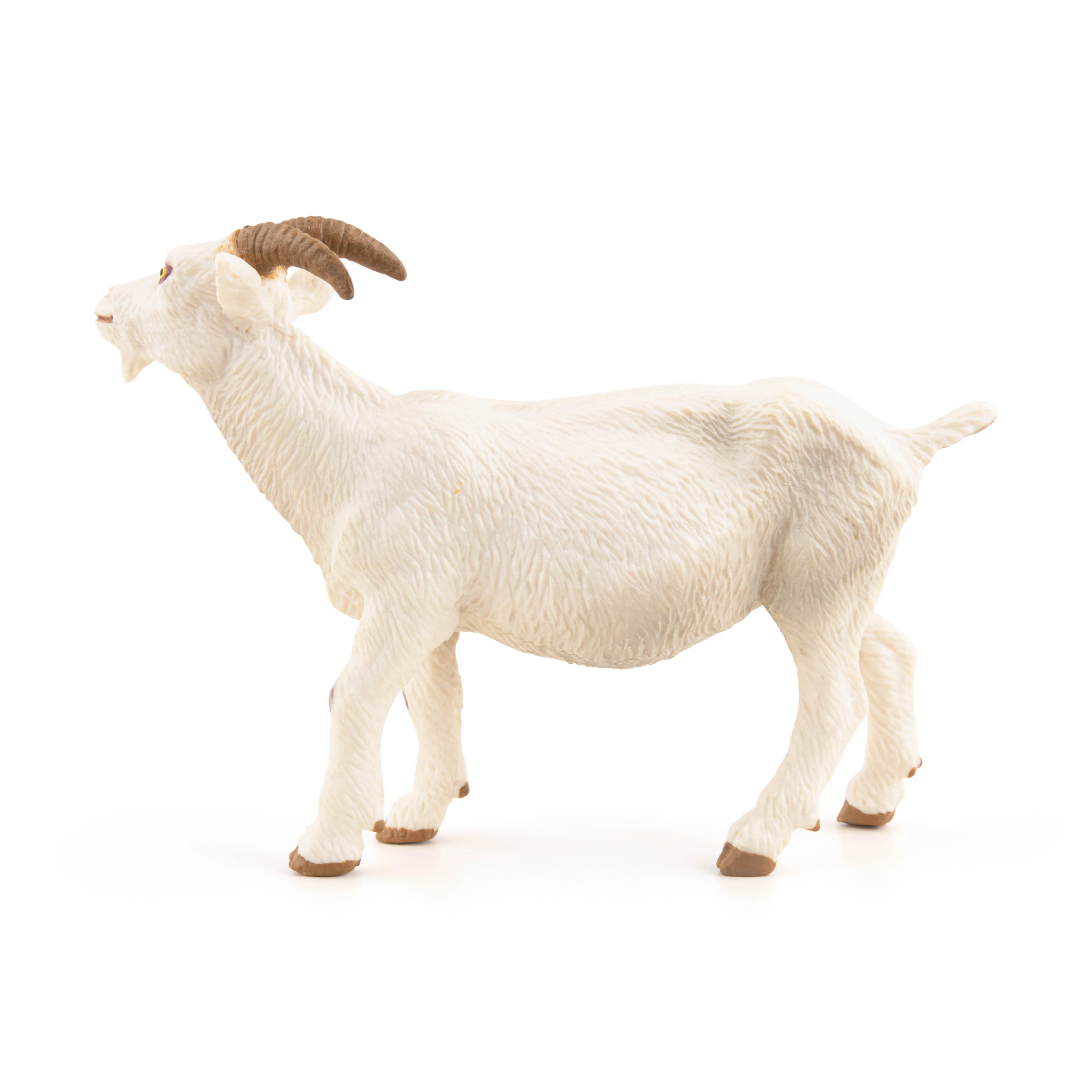 Miniature 5