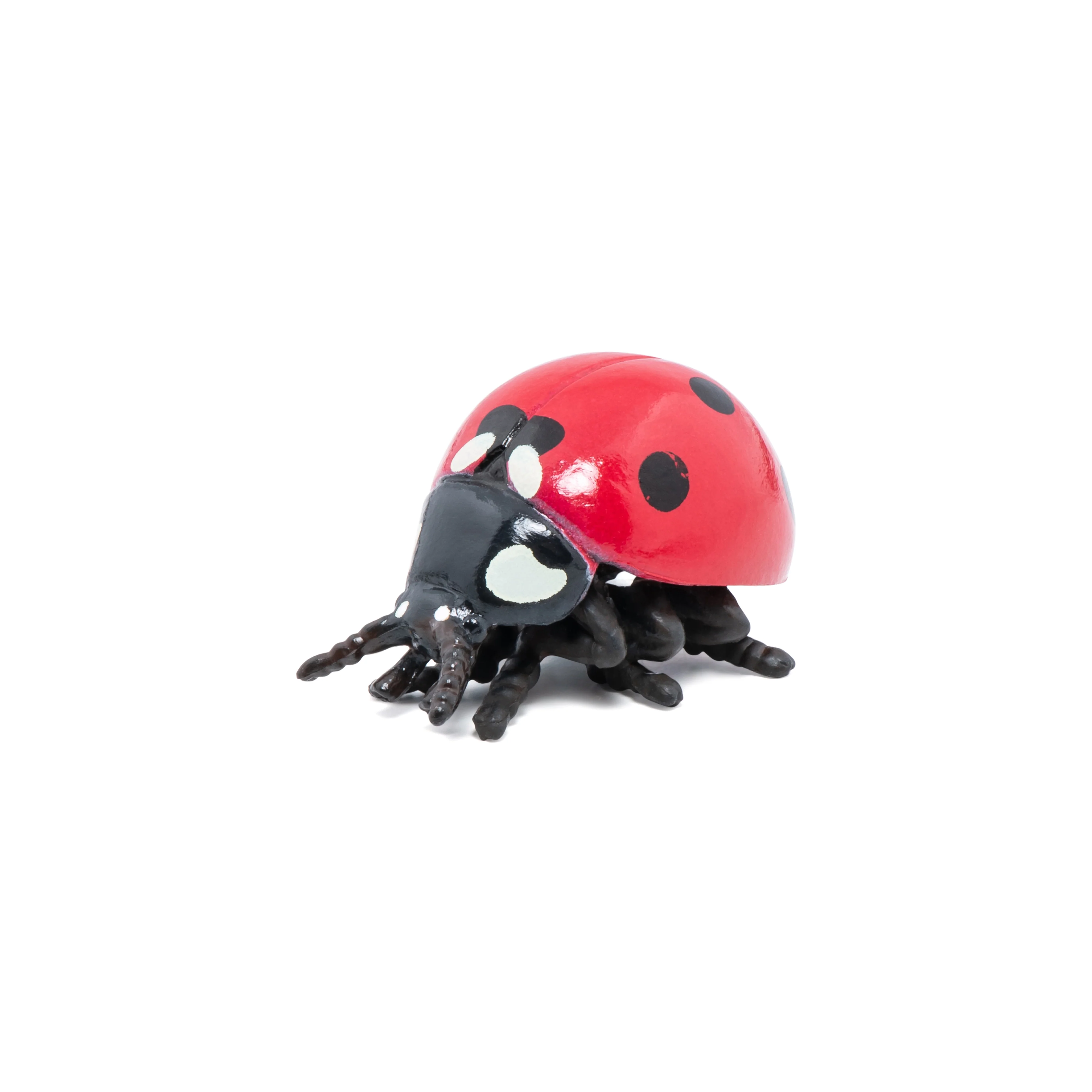 Miniature 4