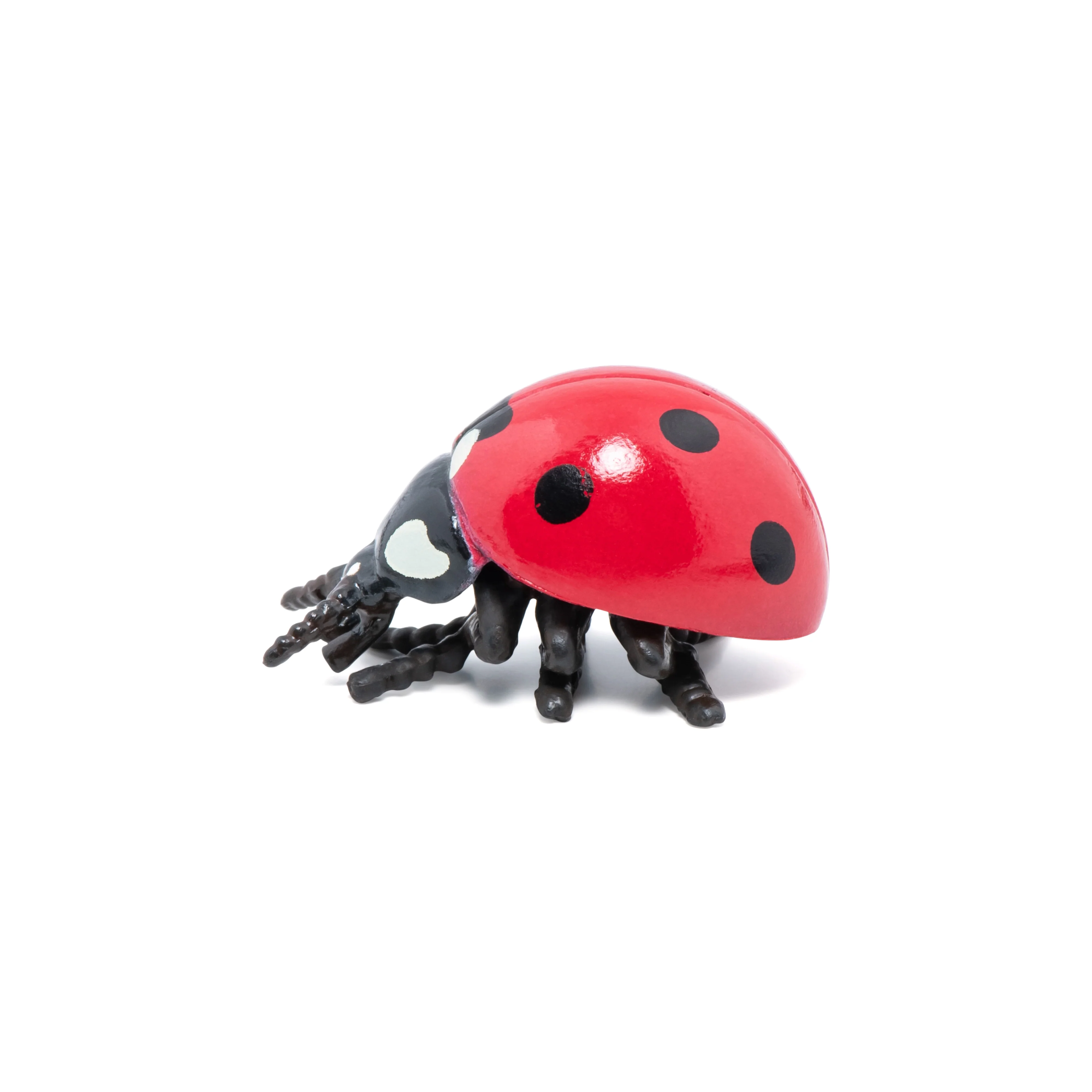 Miniature 5