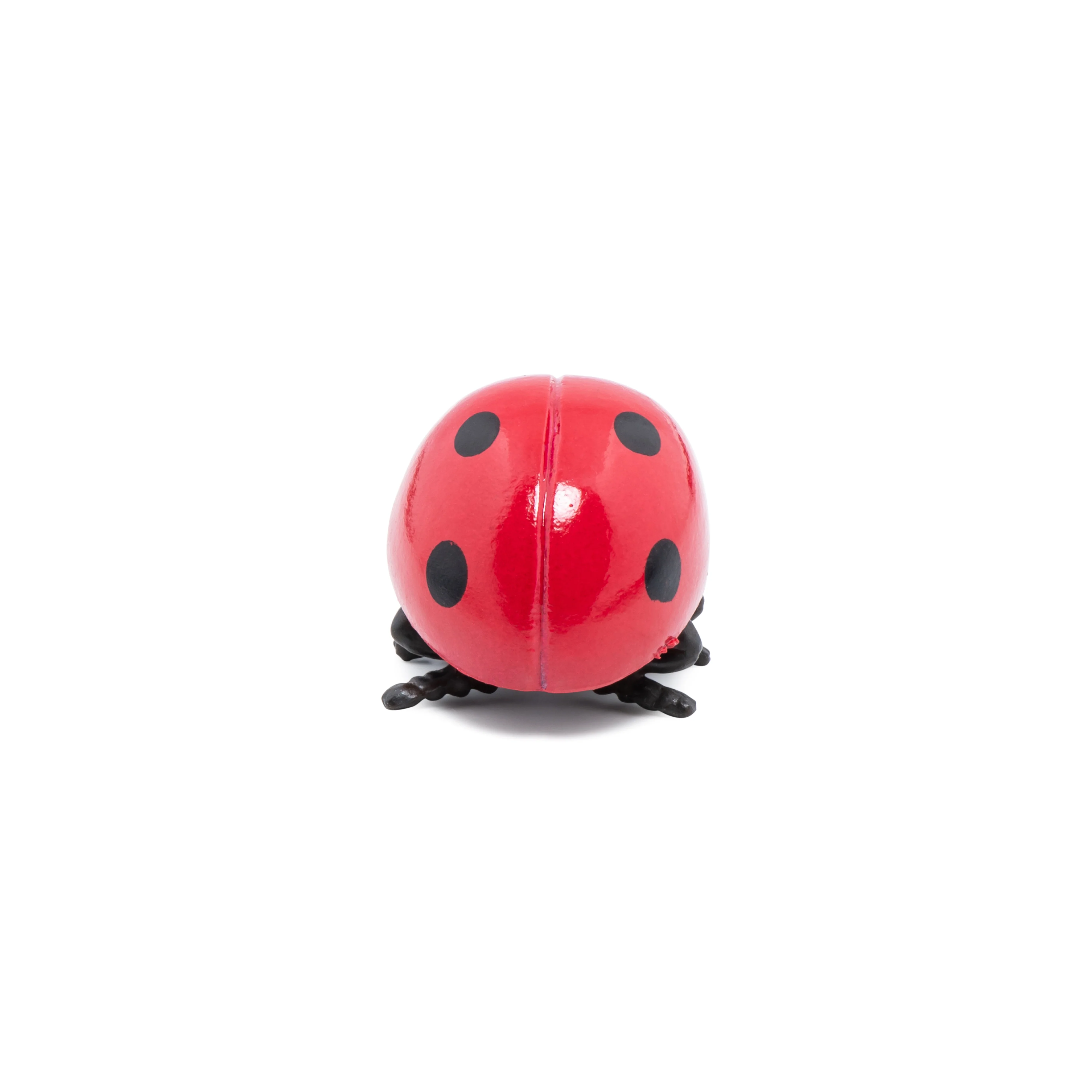 Miniature 6