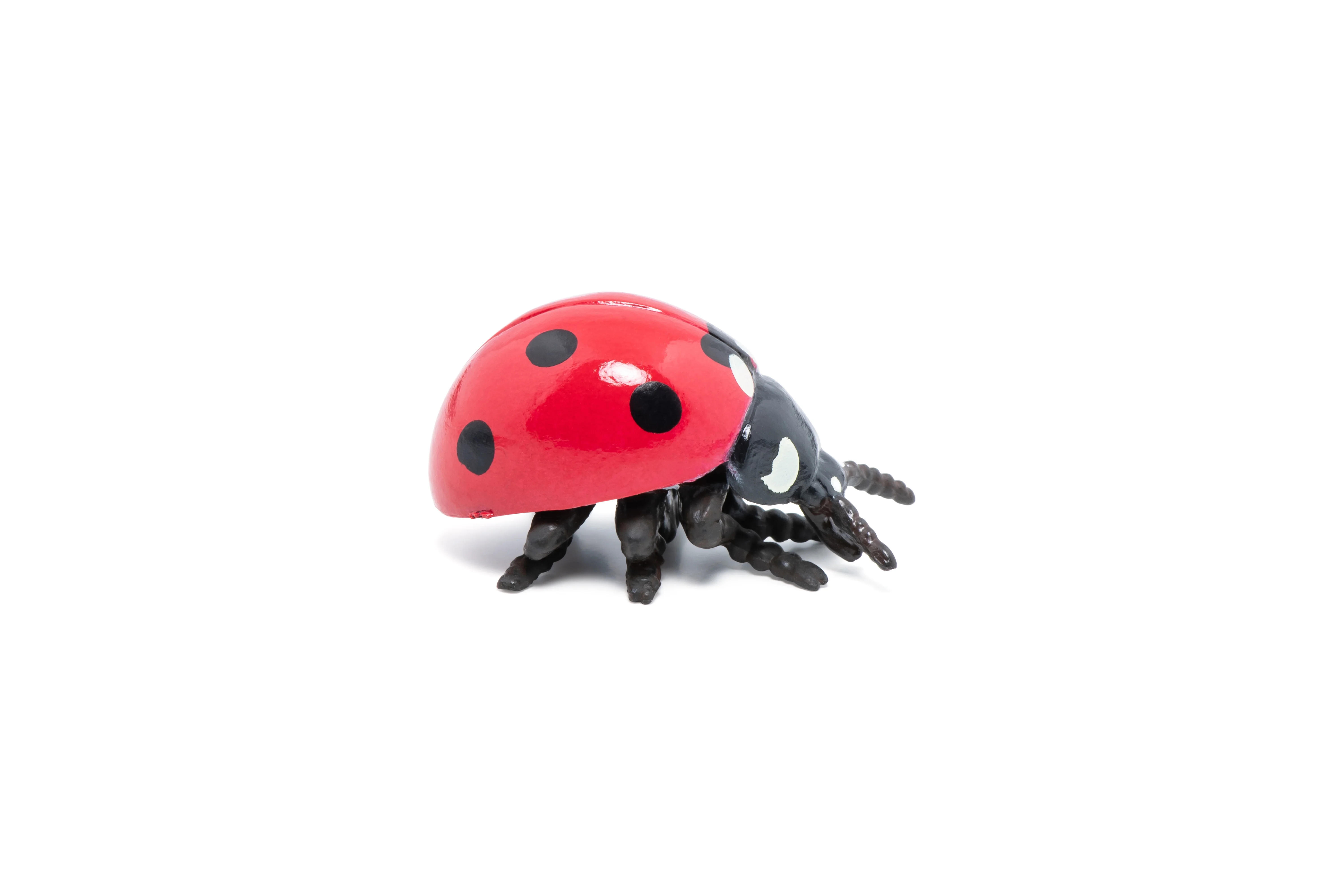 Miniature 7