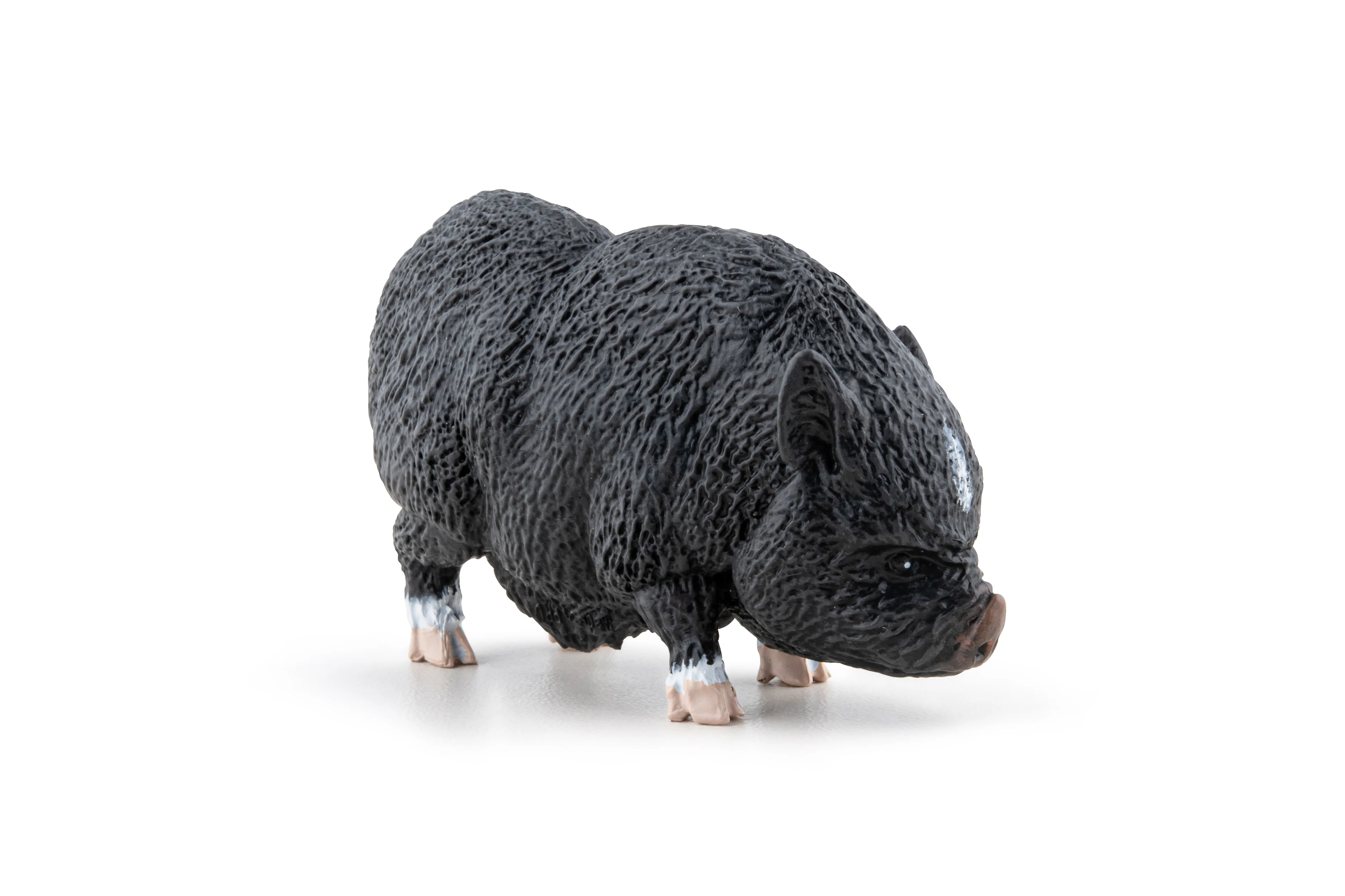 Miniature 5
