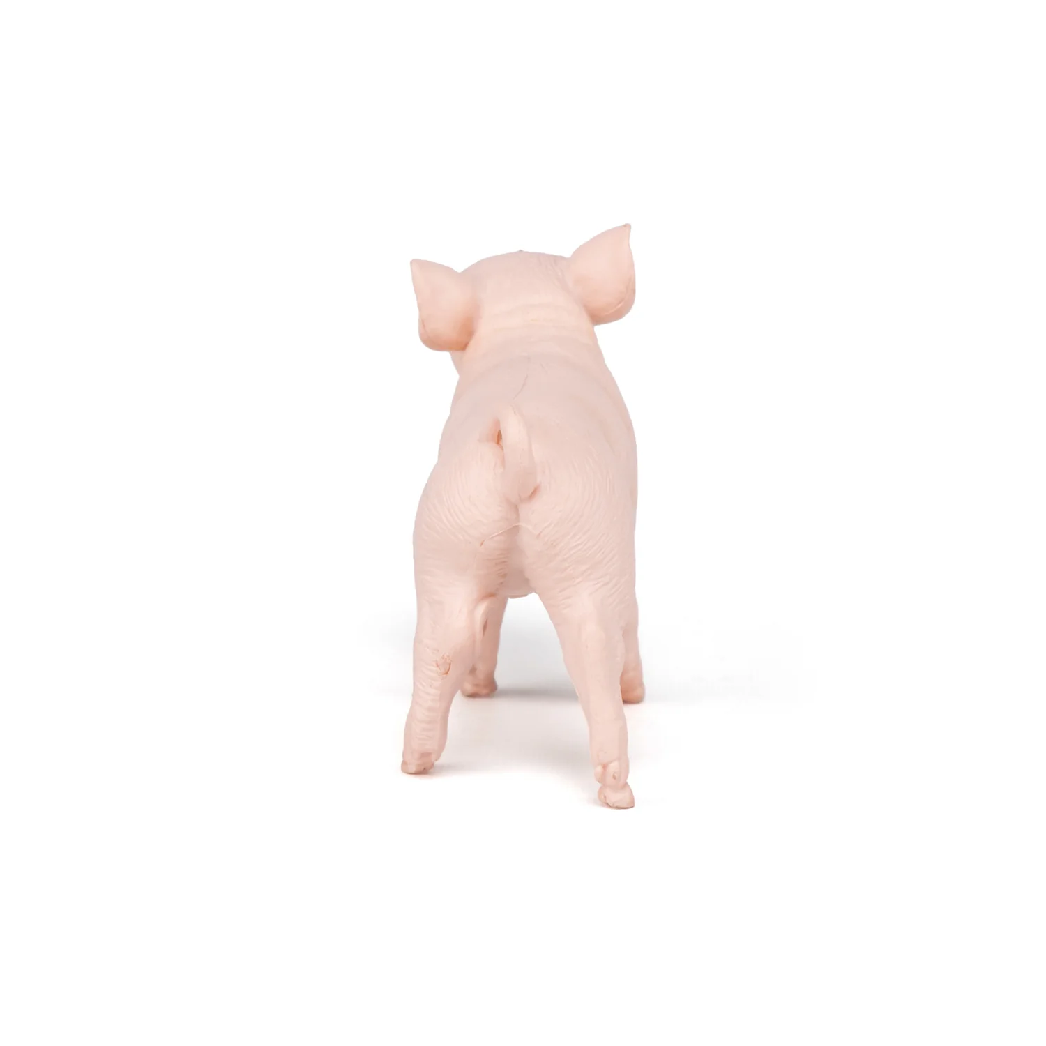 Miniature 5