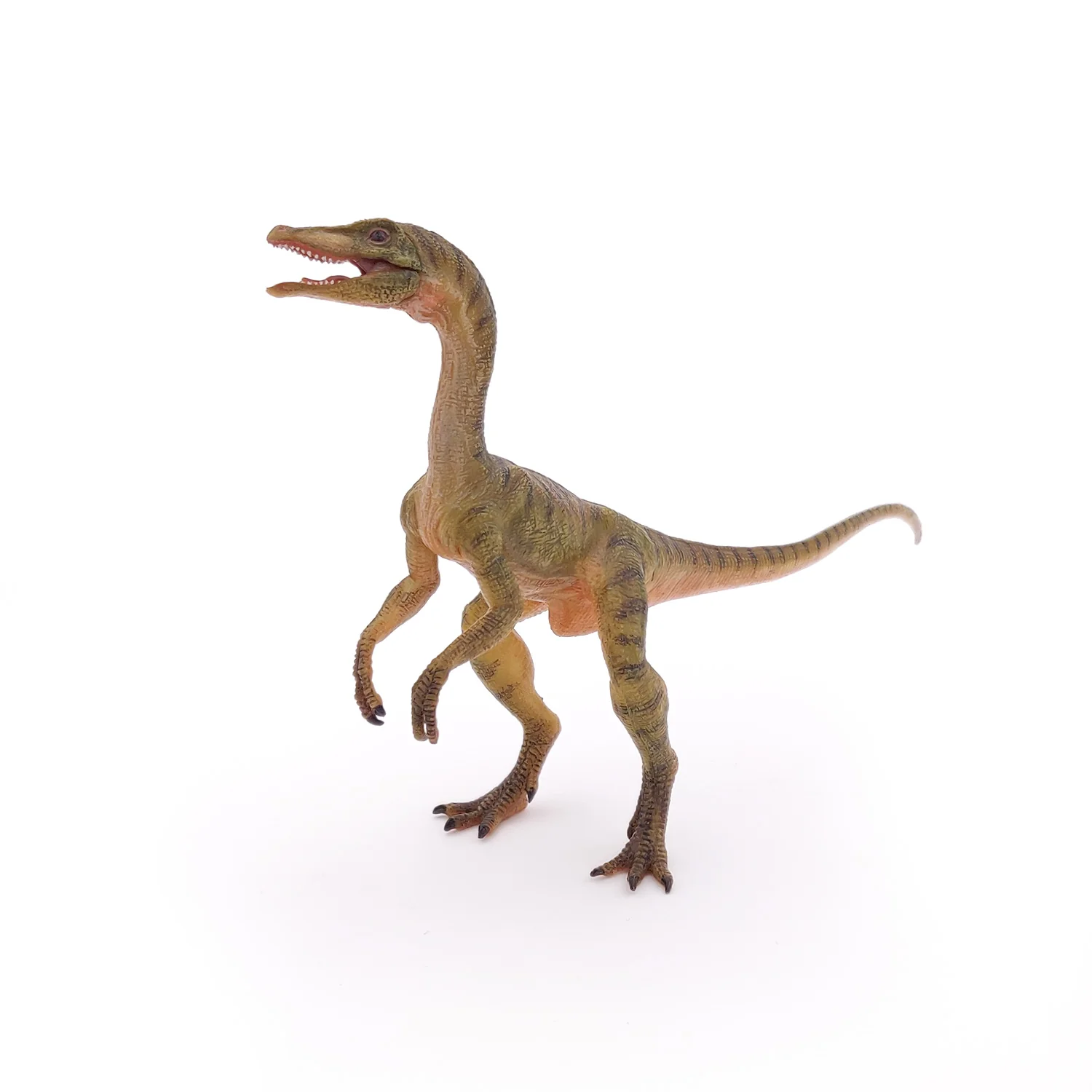 Miniature 5