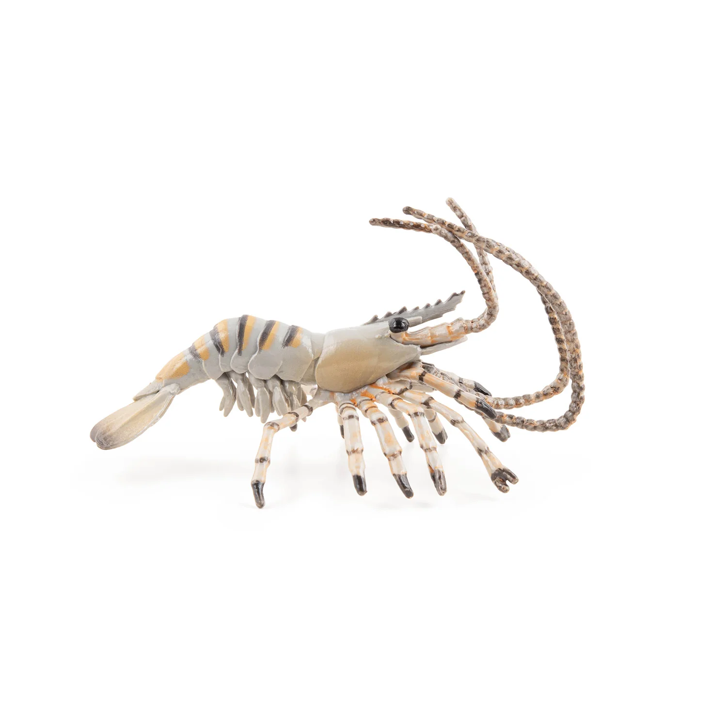 Miniature 5