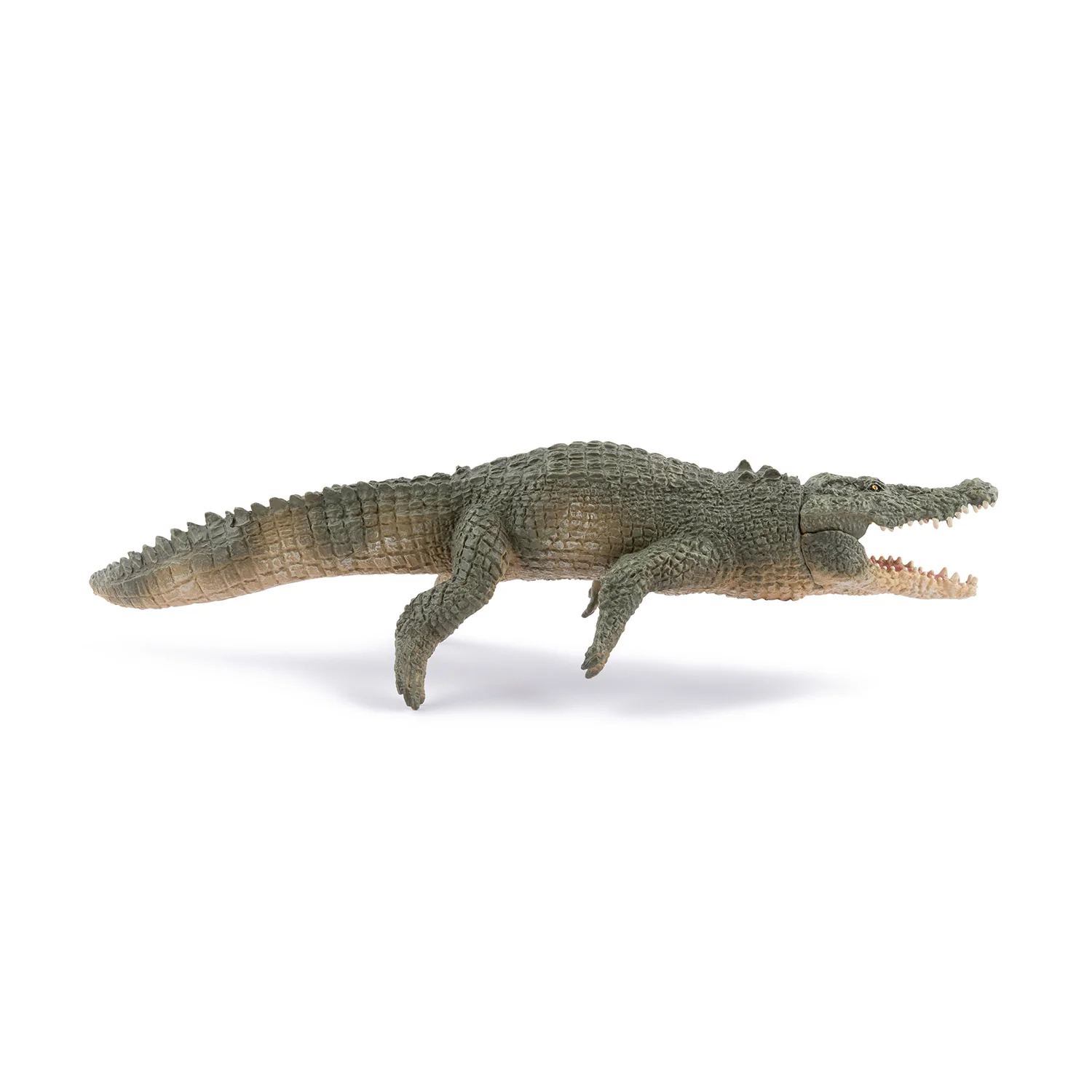 Miniature 4