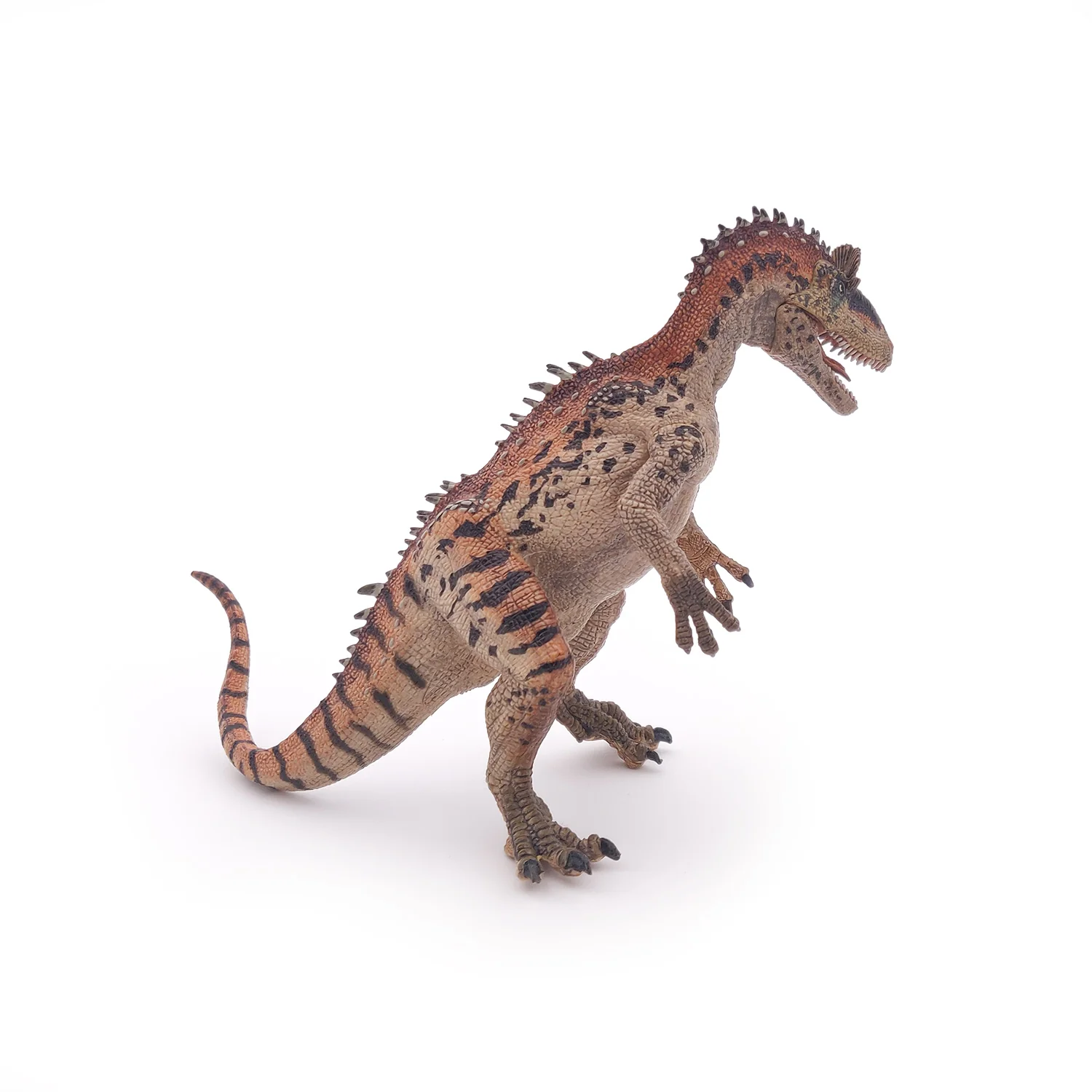 Miniature 5