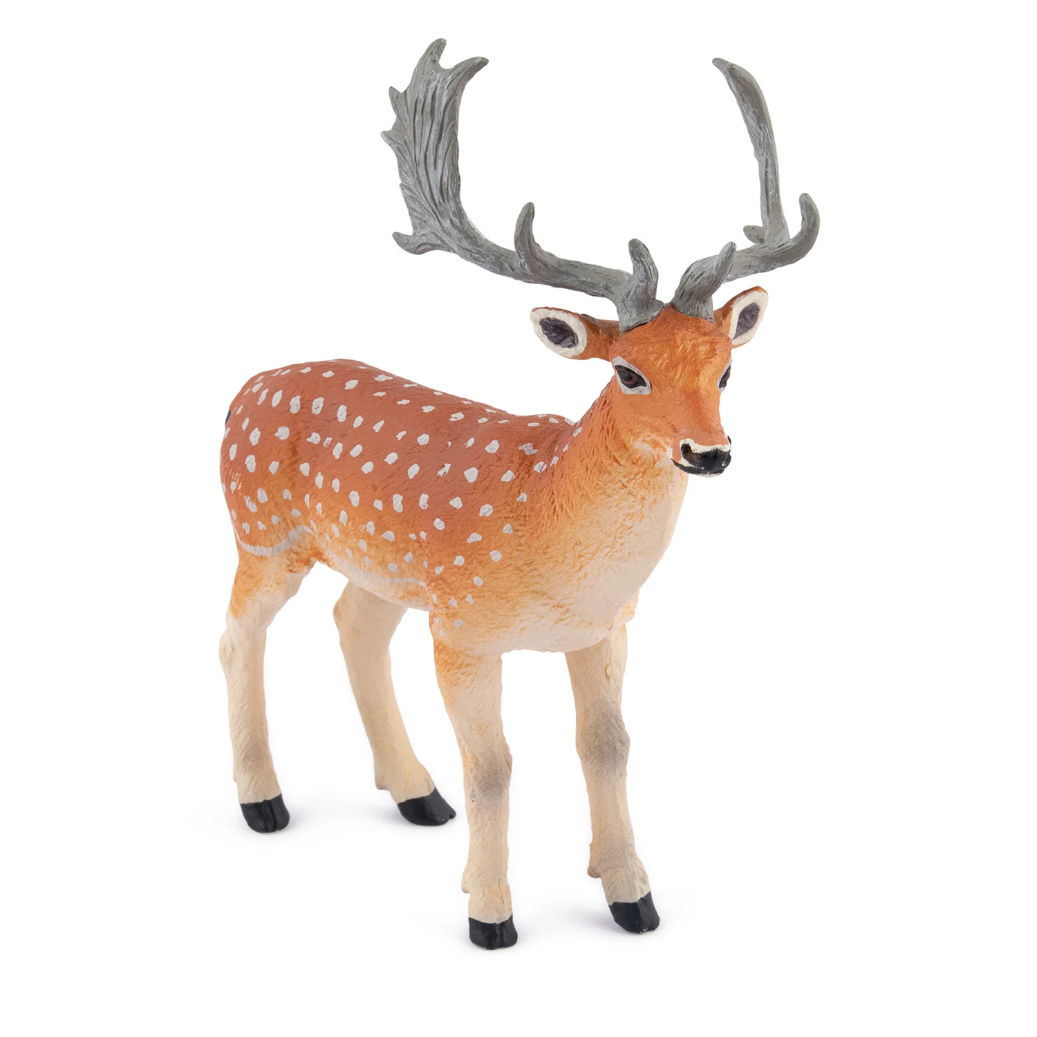 Miniature 3