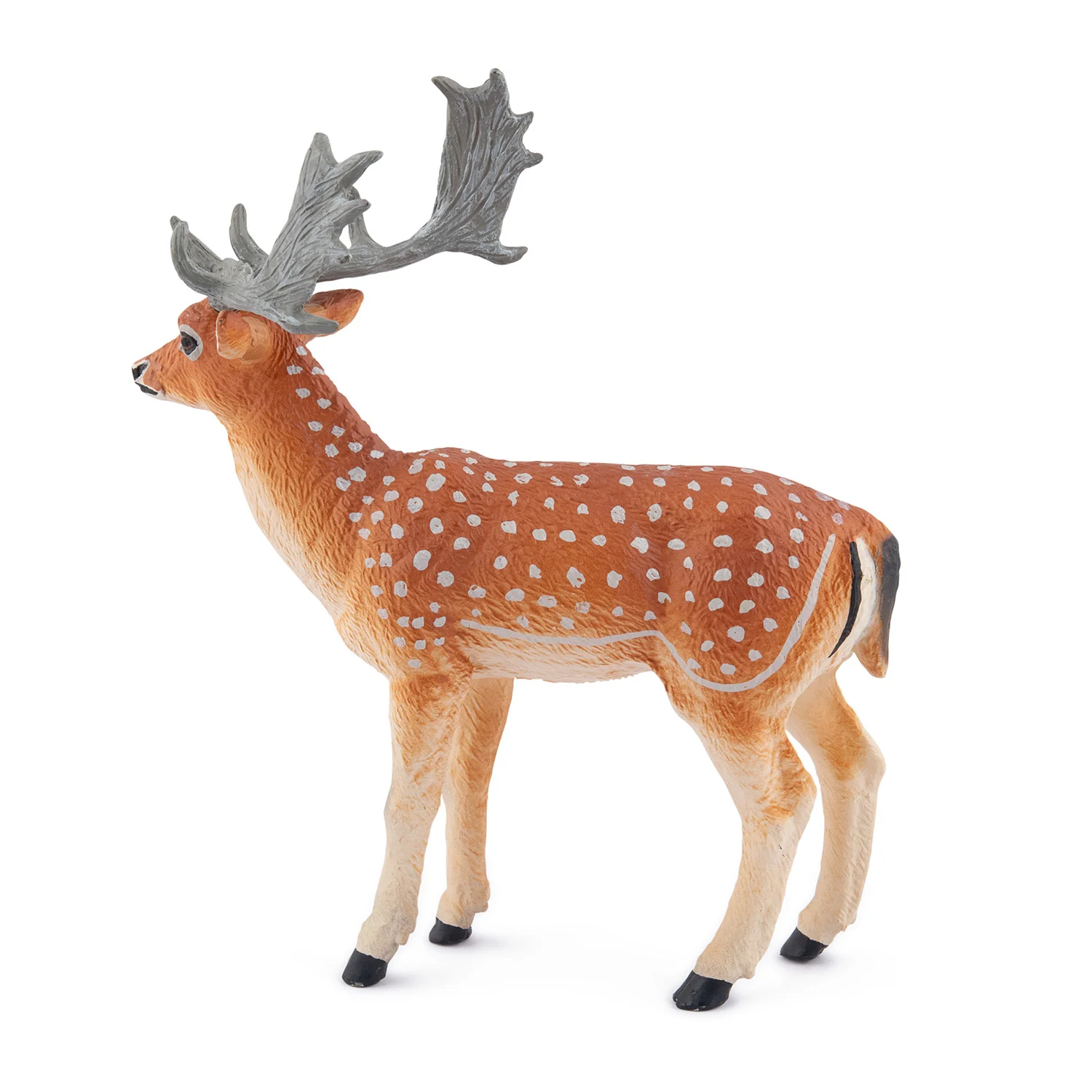 Miniature 5