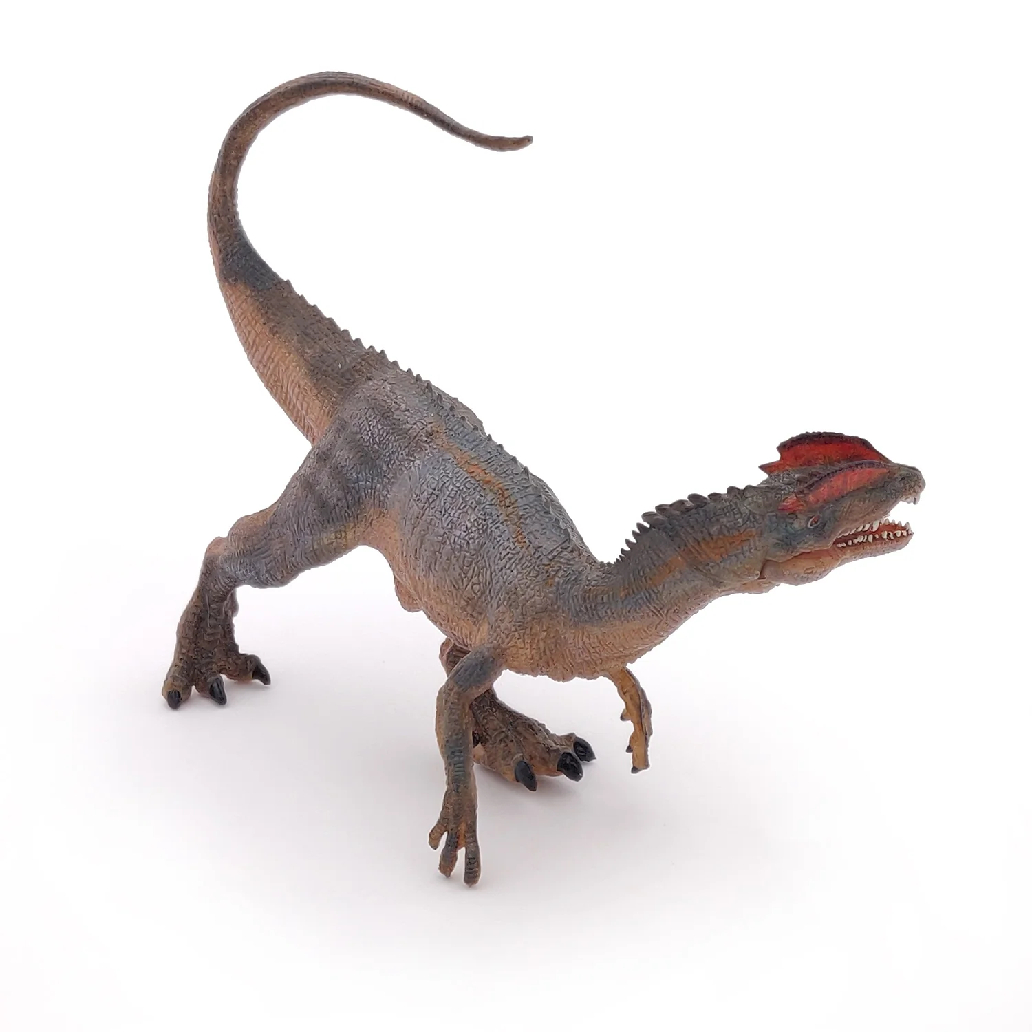 Miniature 5