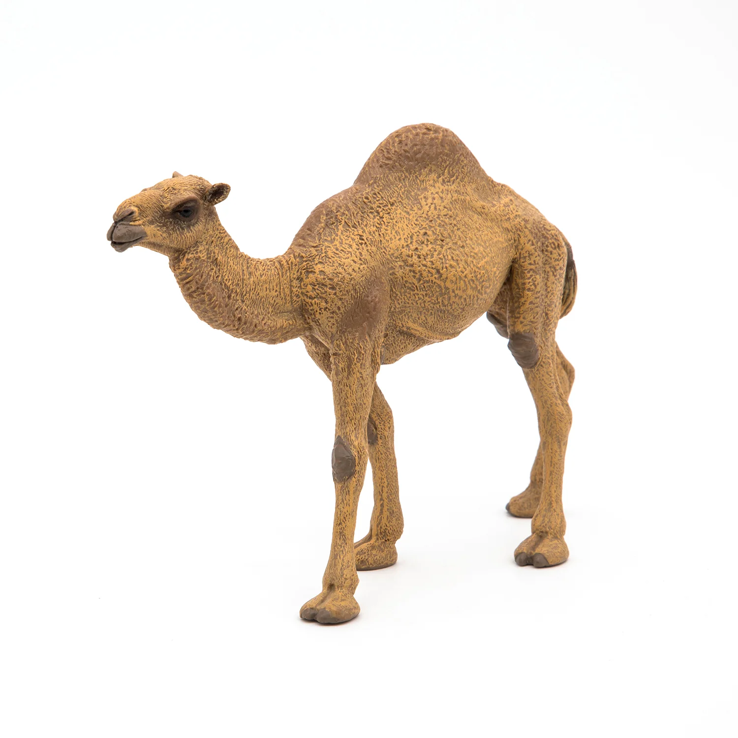 Miniature 3