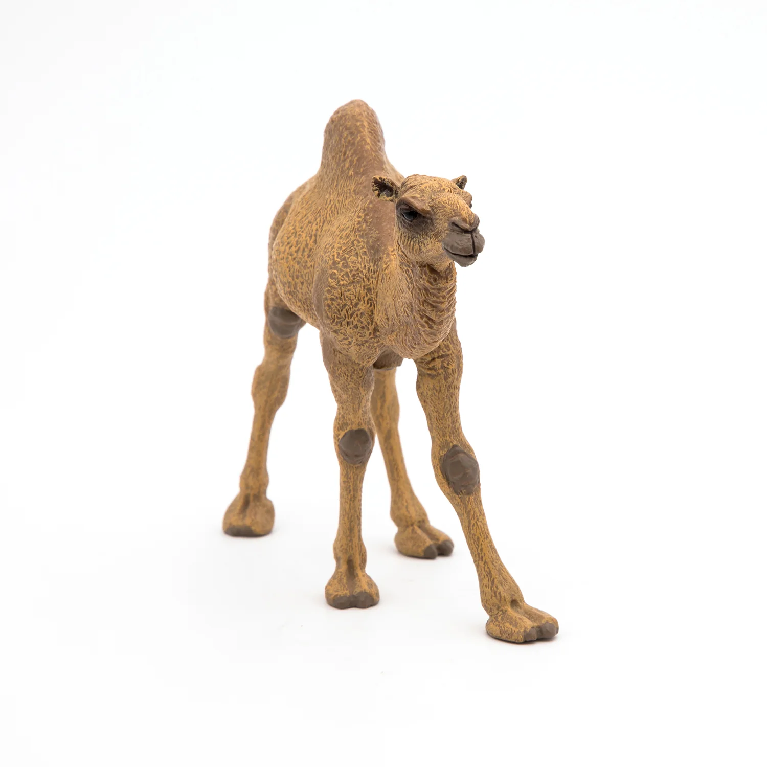 Miniature 5