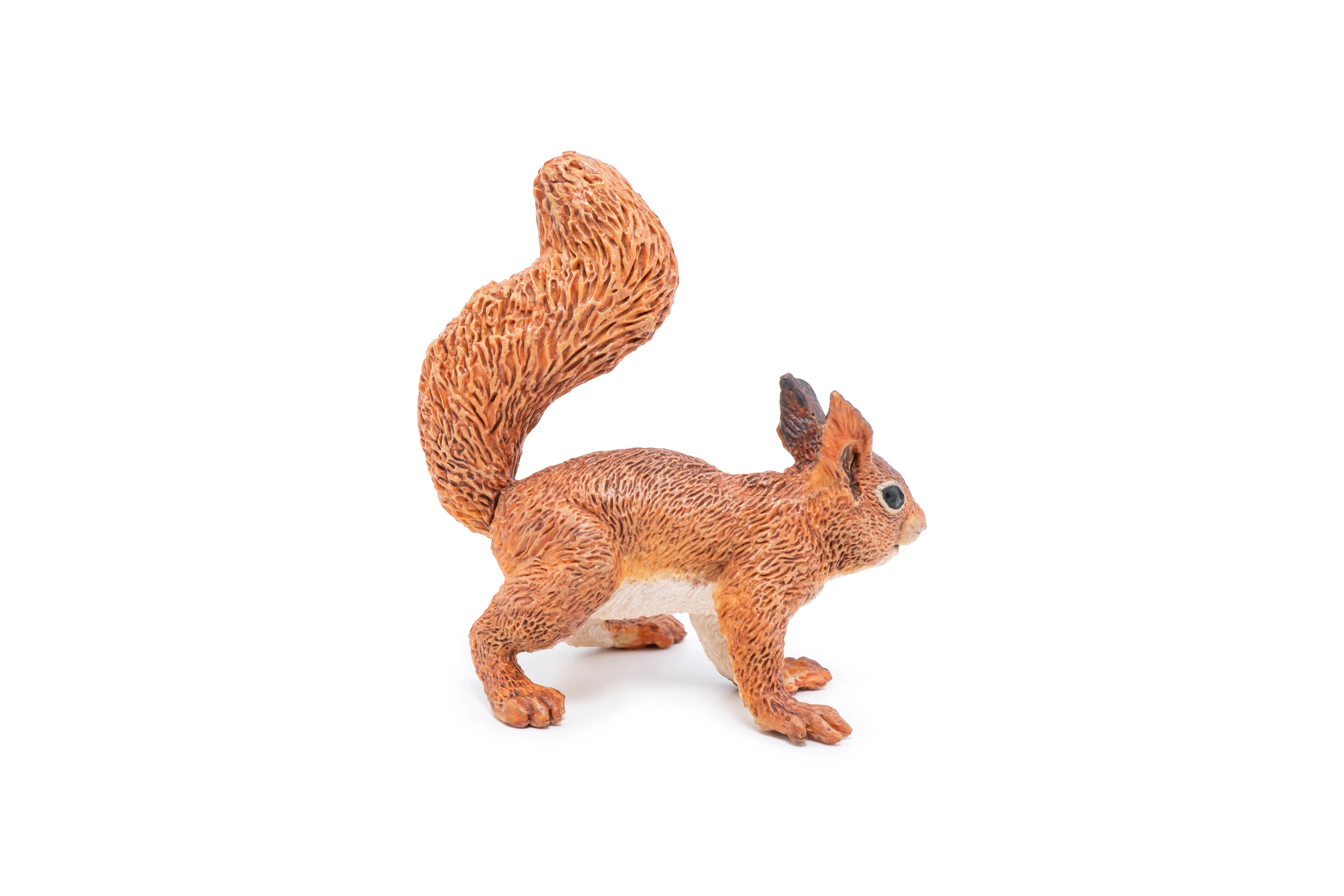 Miniature 5