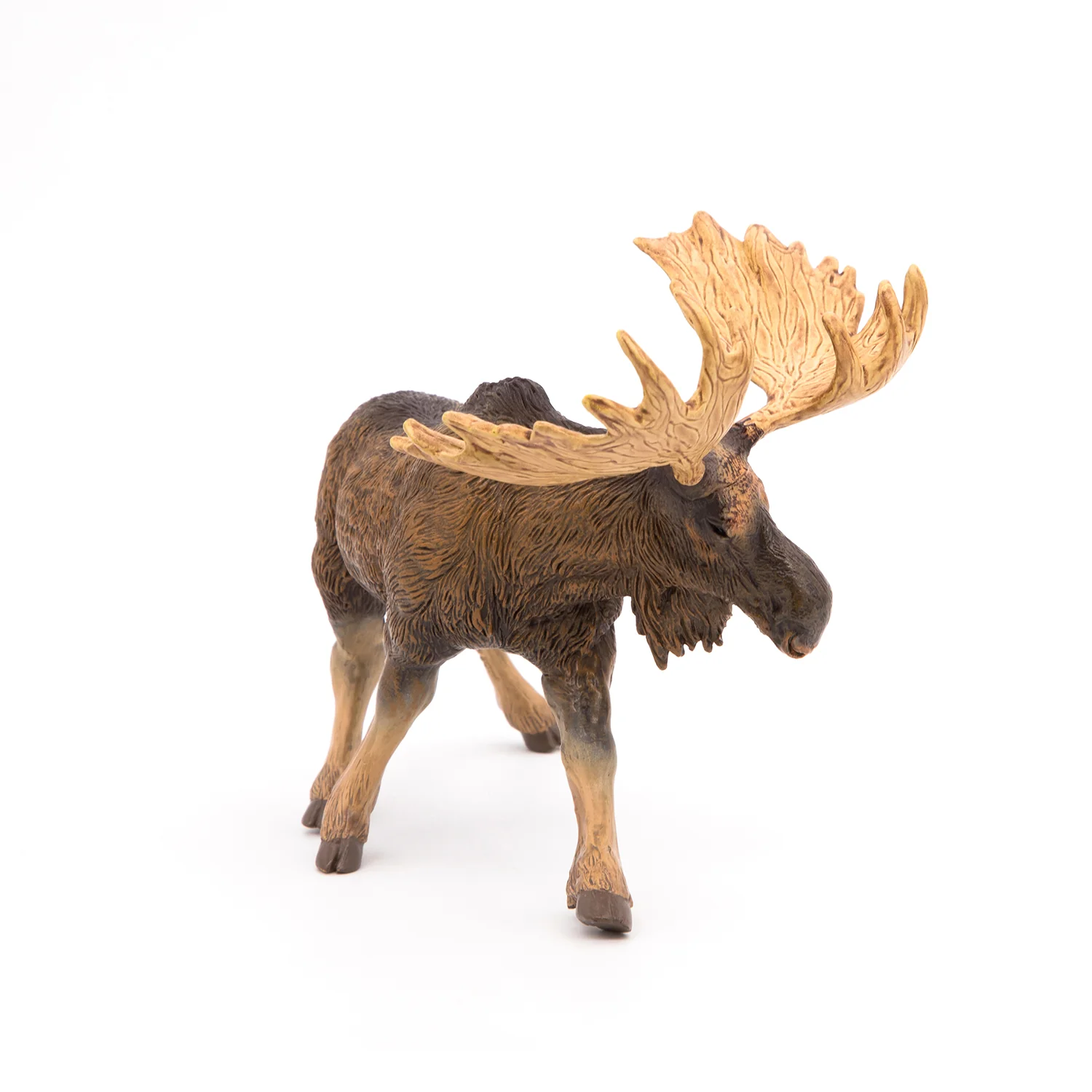 Miniature 5