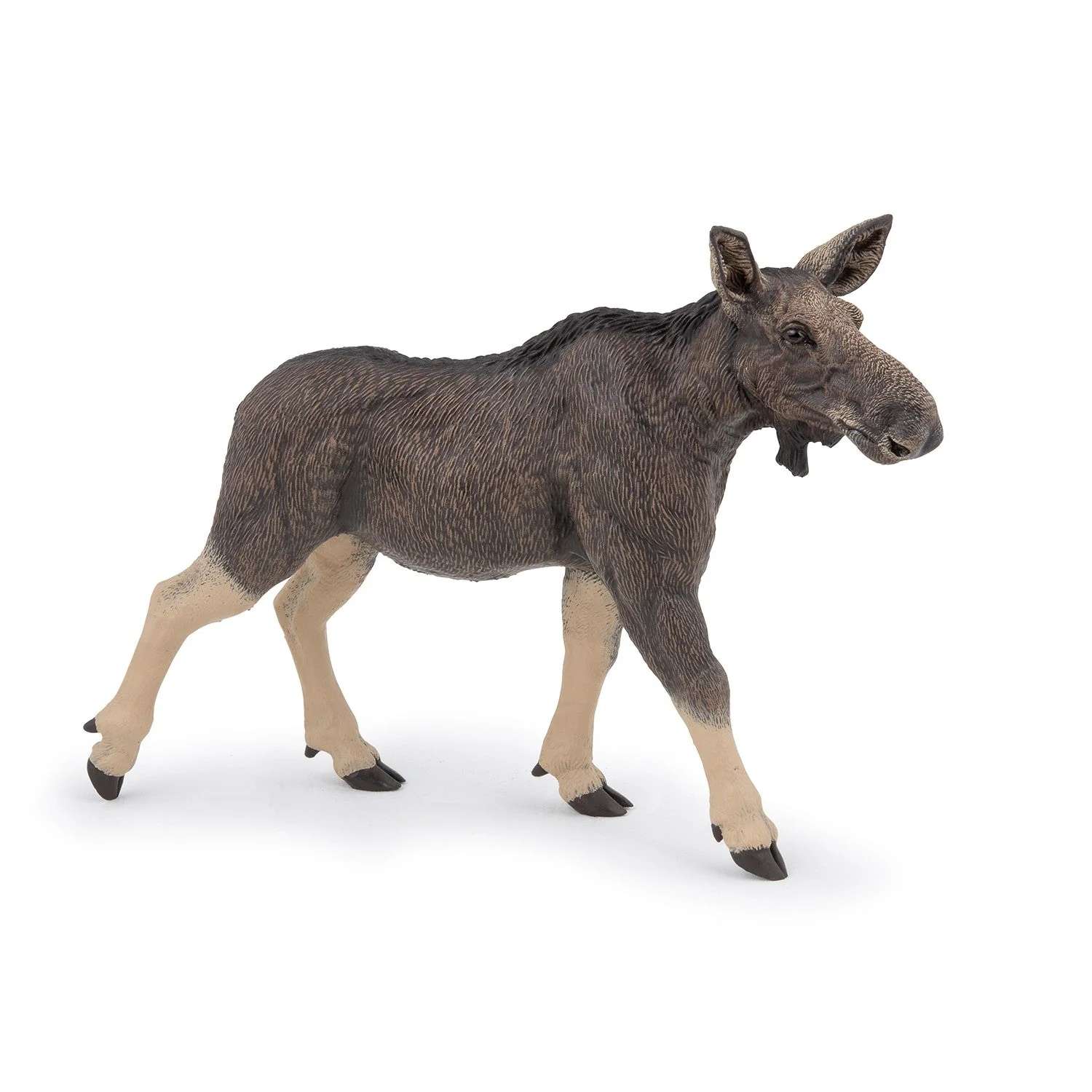 Miniature 1