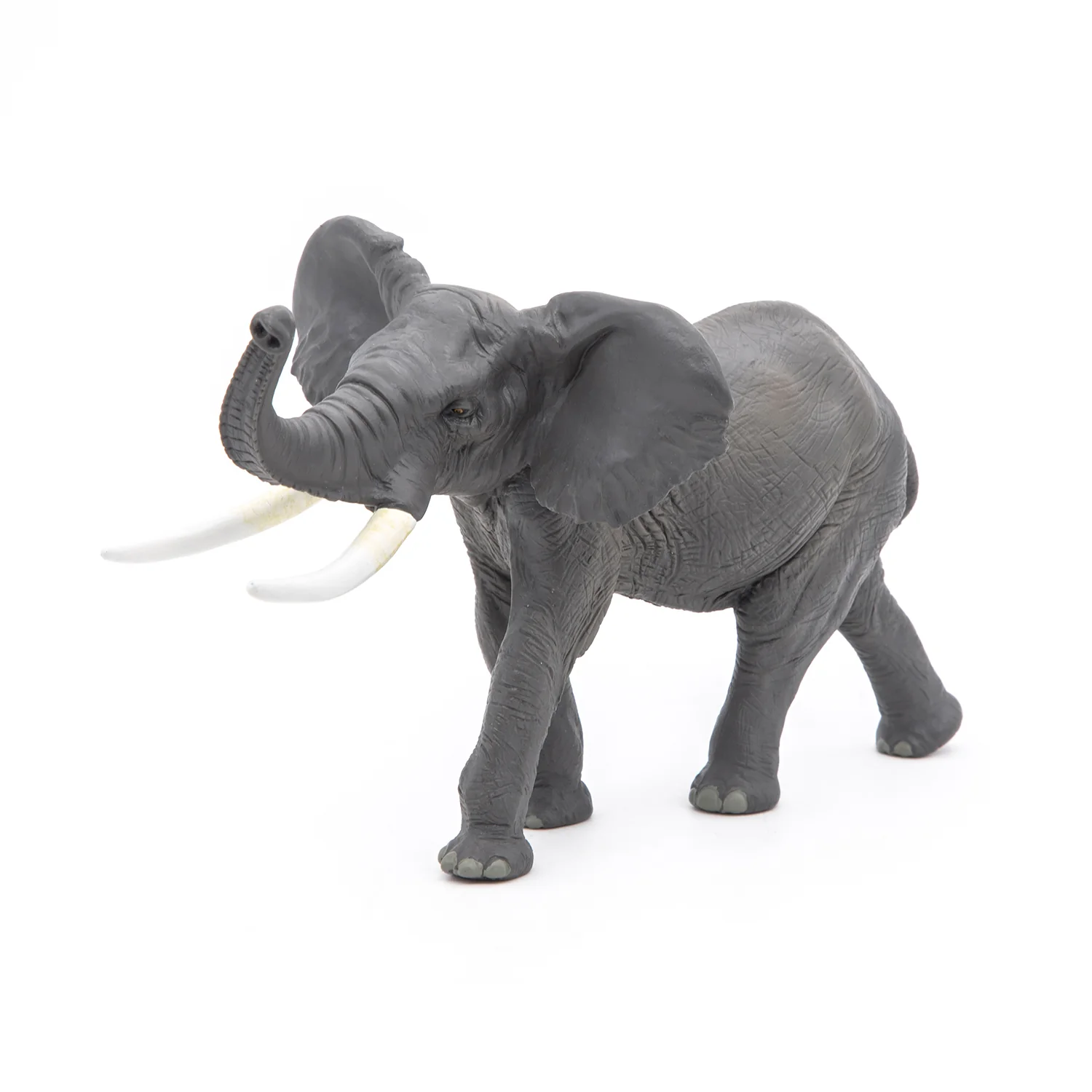 Miniature 5