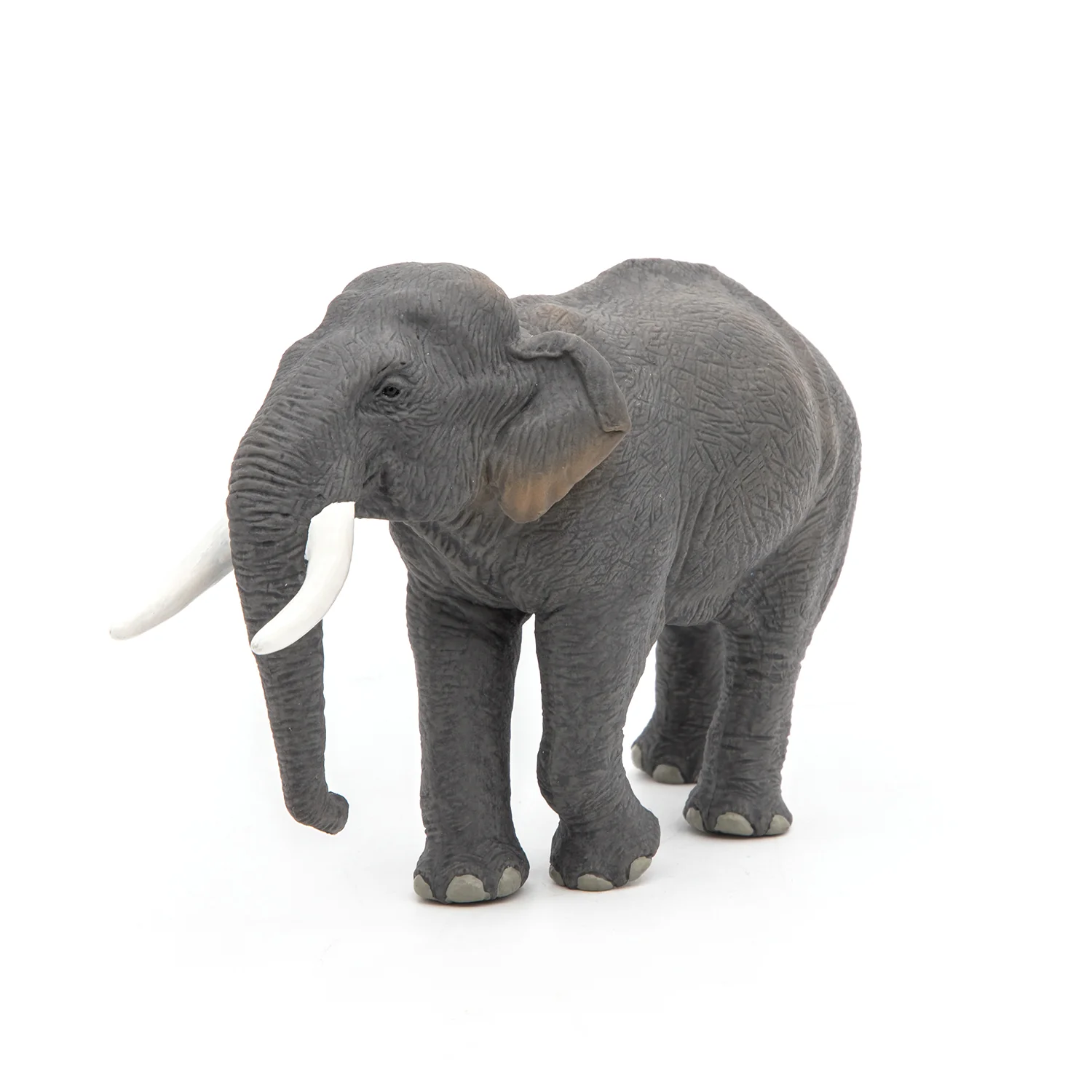 Miniature 5