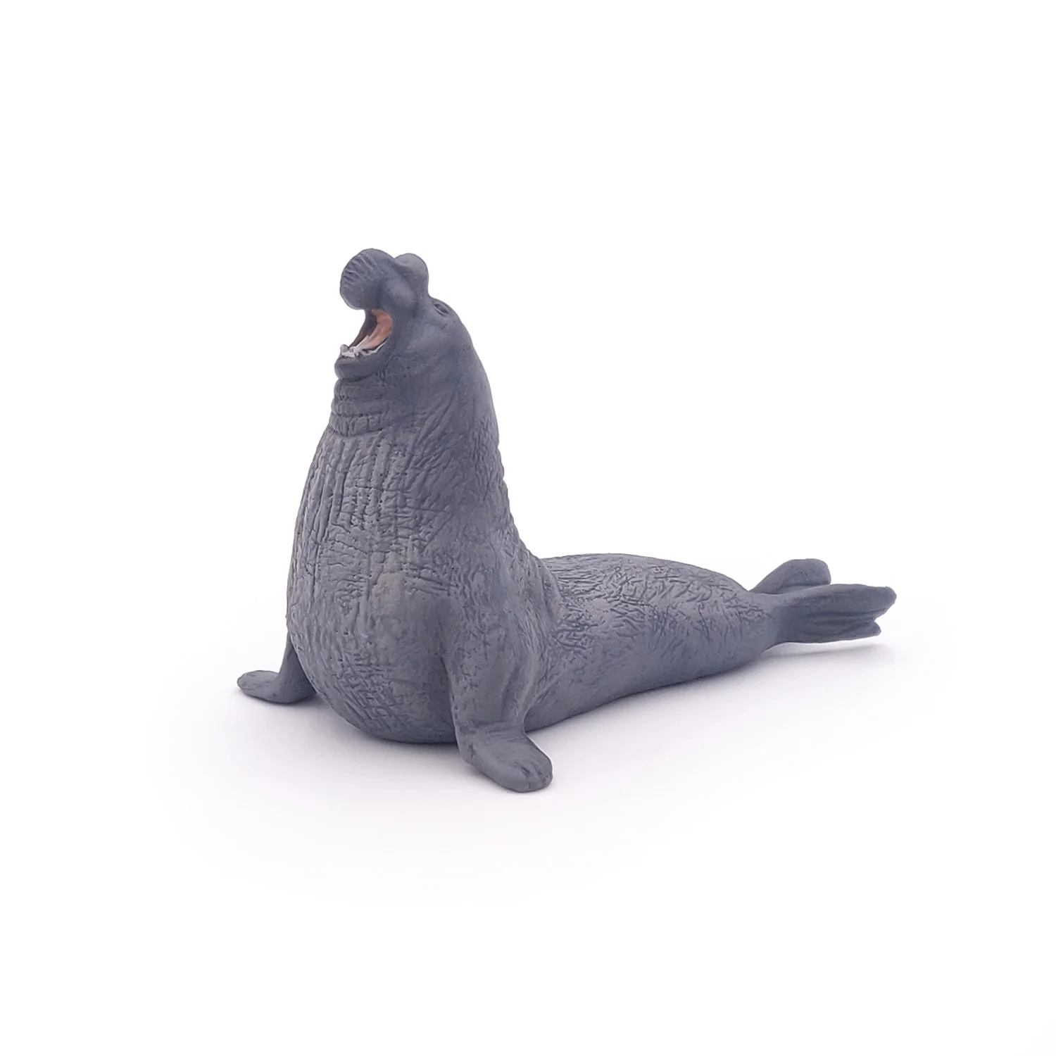 Miniature 5