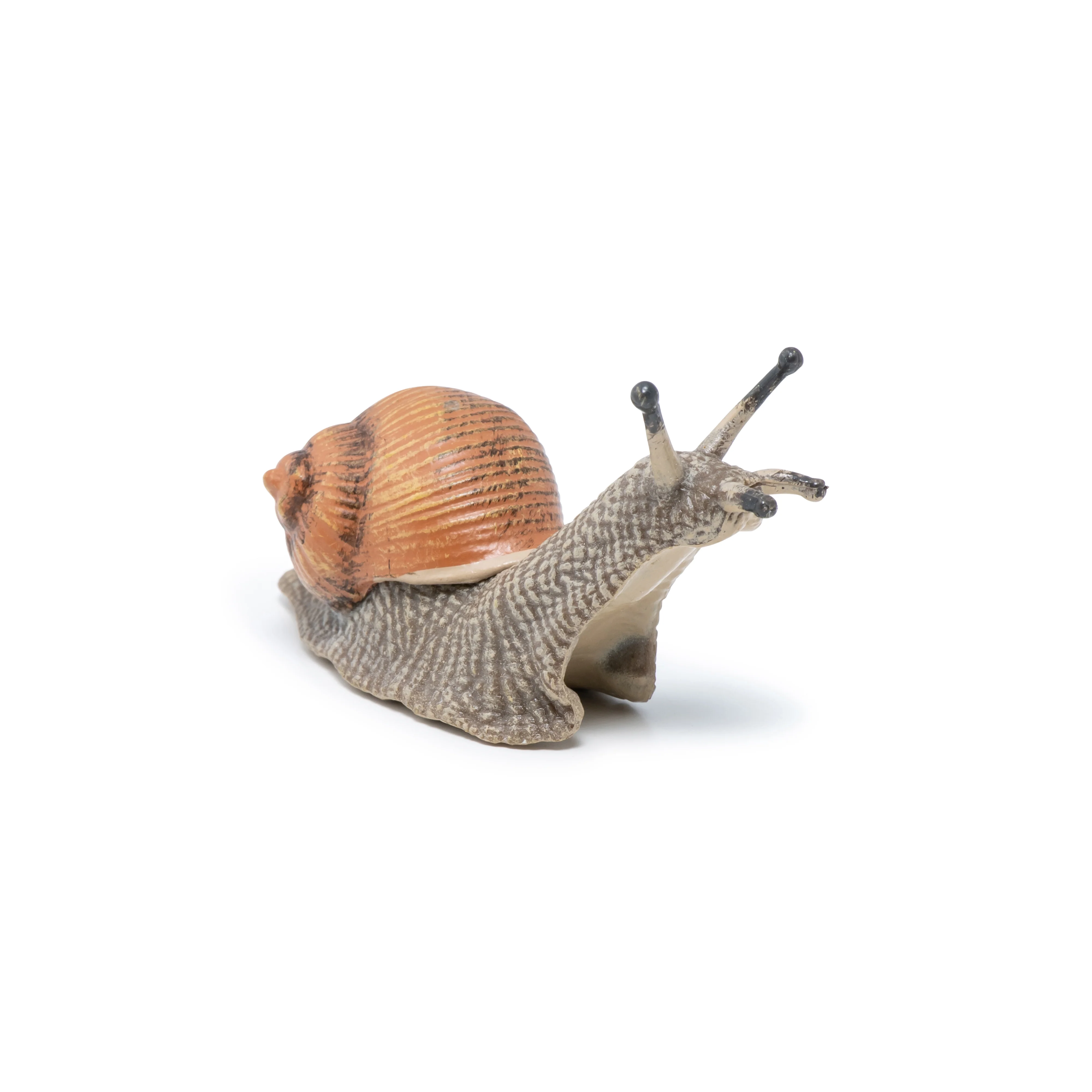 Miniature 4