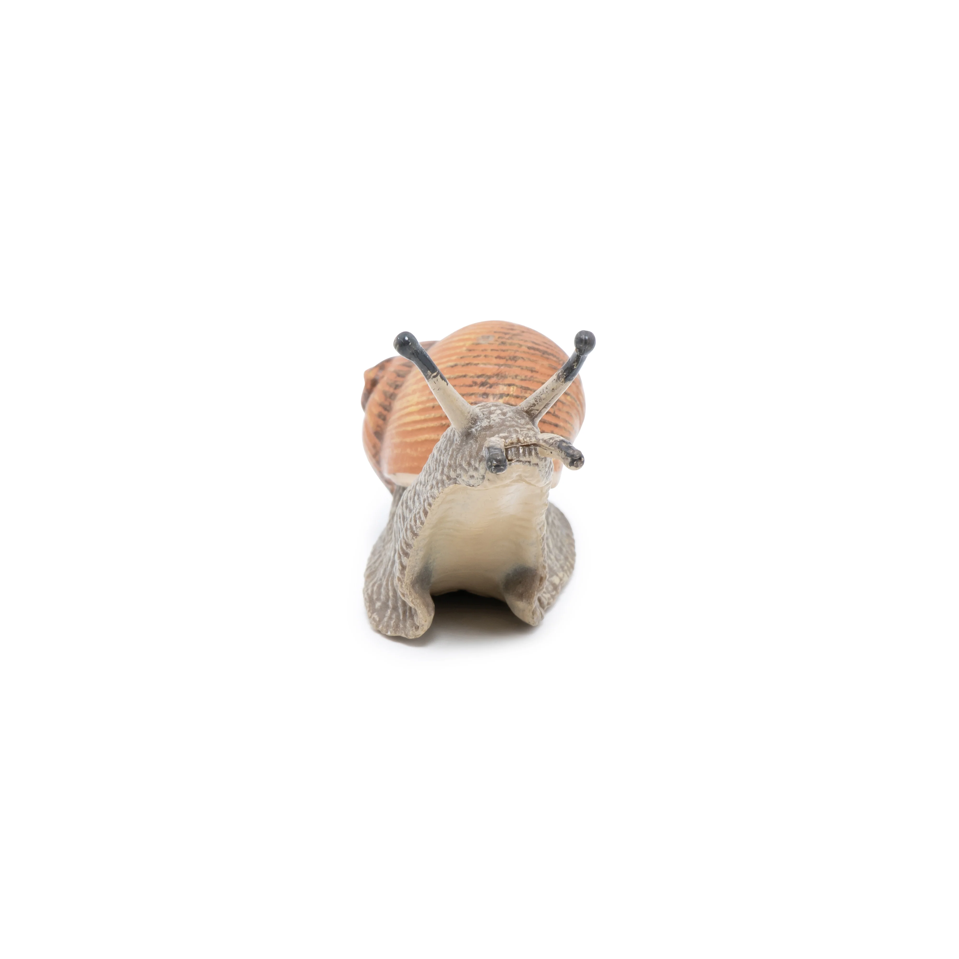 Miniature 5