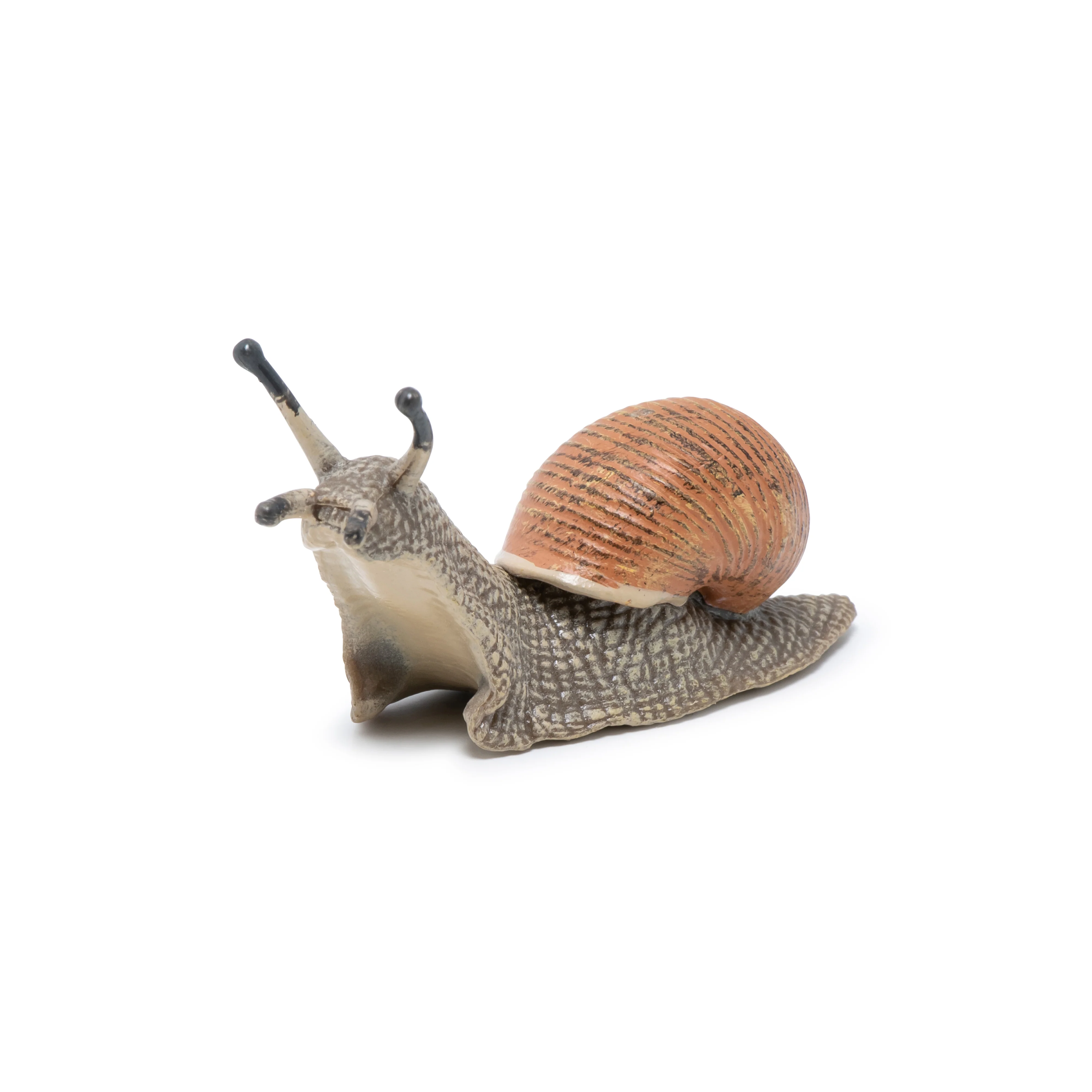 Miniature 6