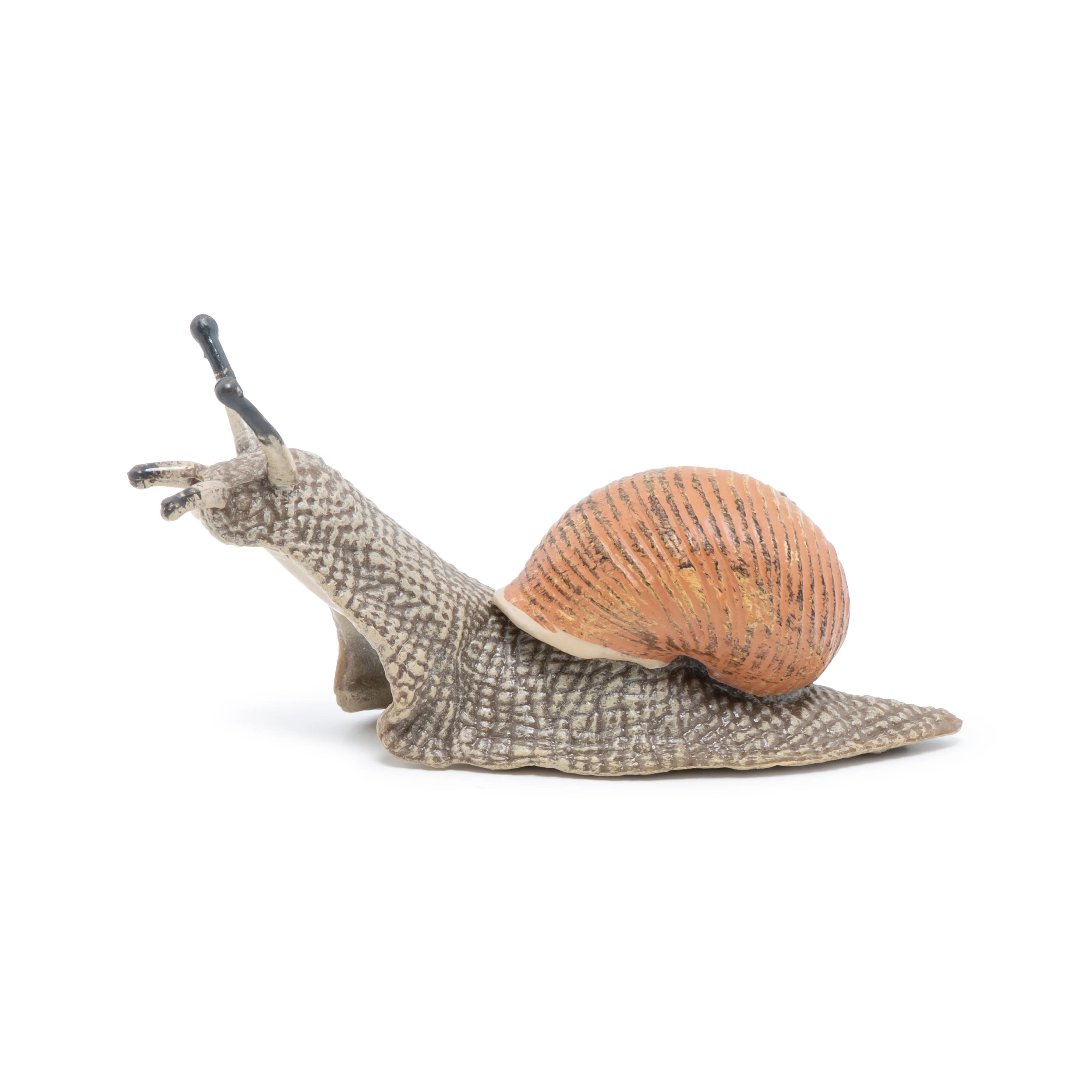 Miniature 7