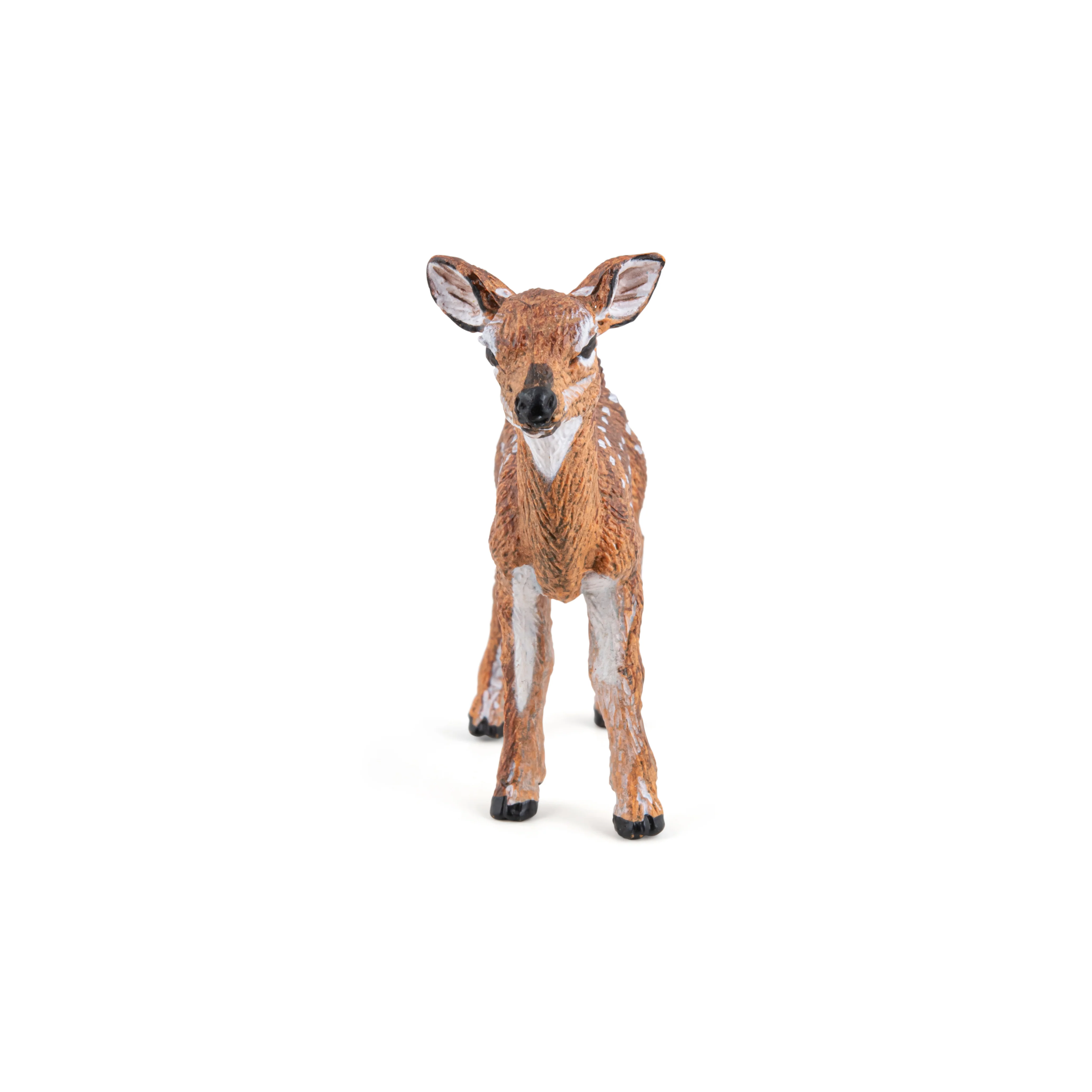 Miniature 5