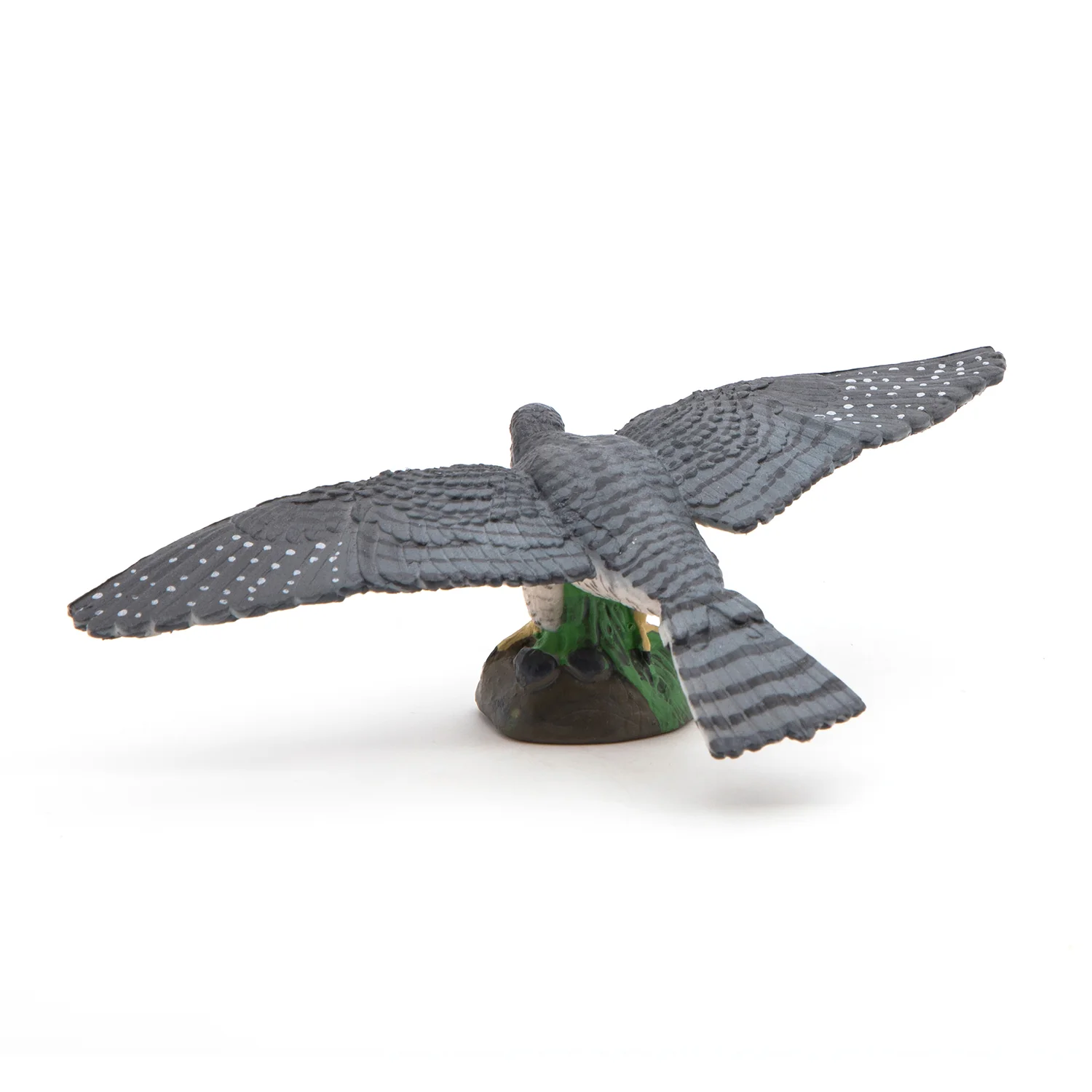 Miniature 5