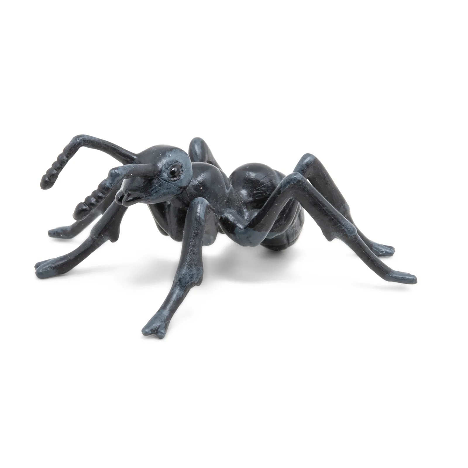 Miniature 3