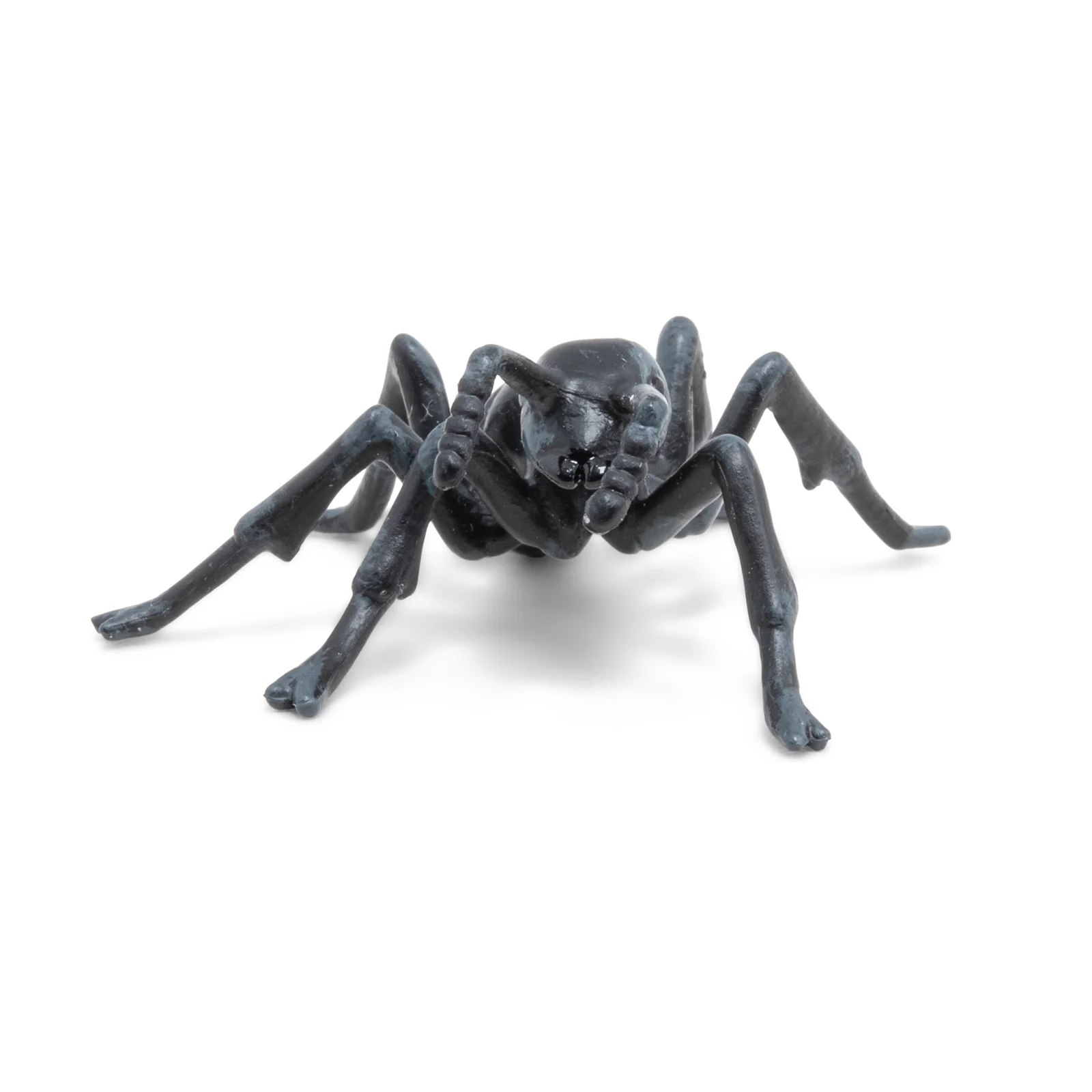 Miniature 4