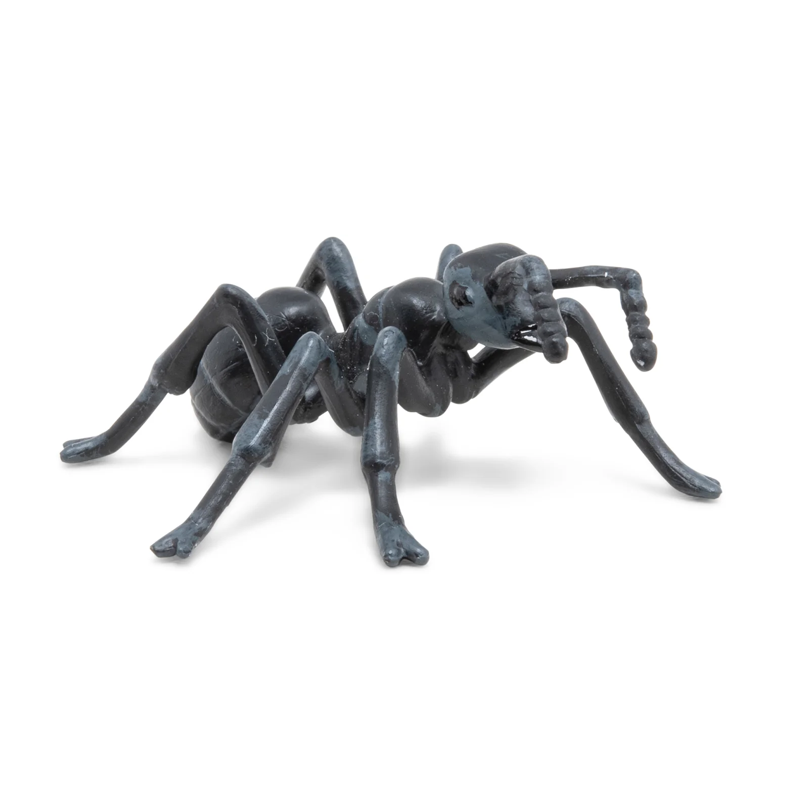 Miniature 5