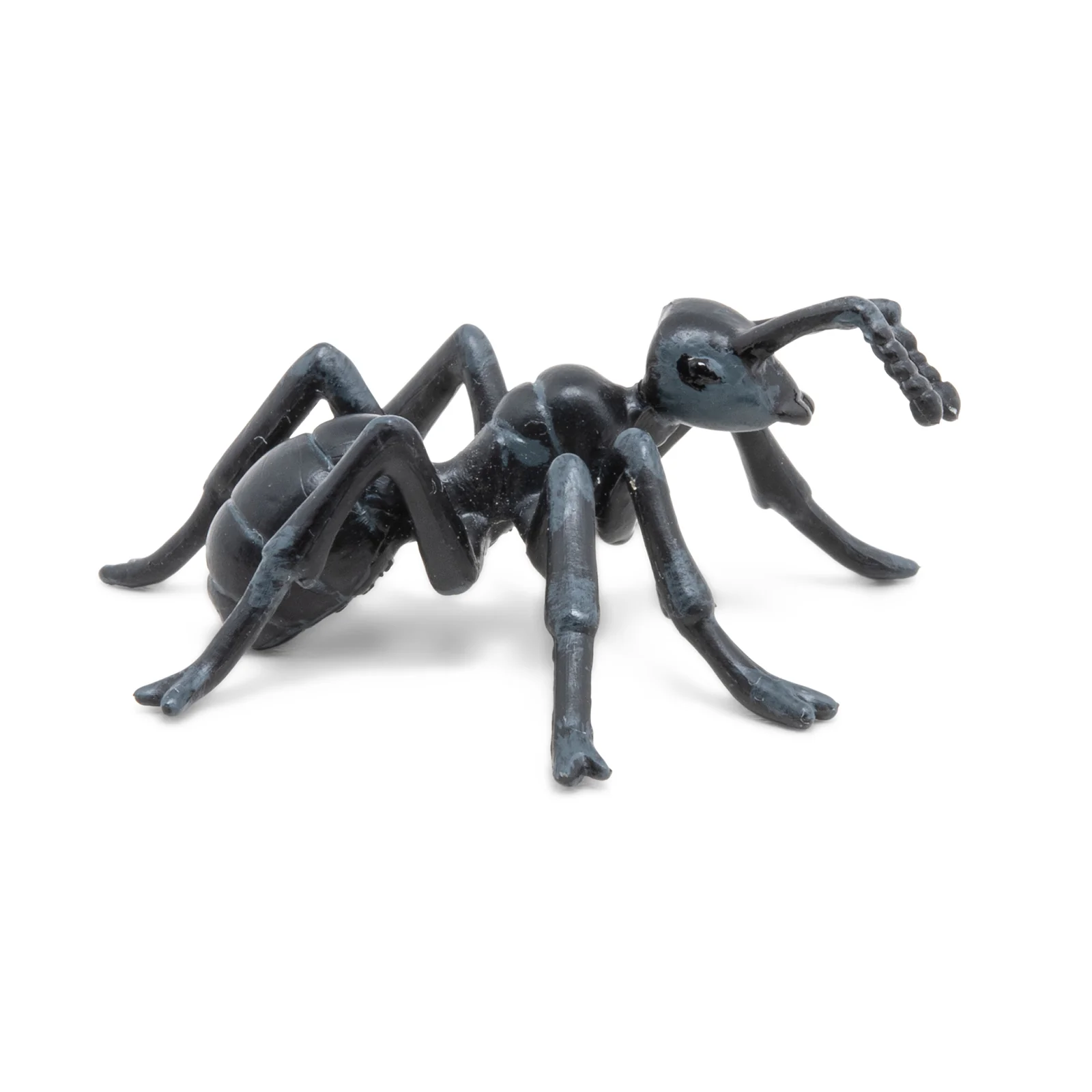 Miniature 6
