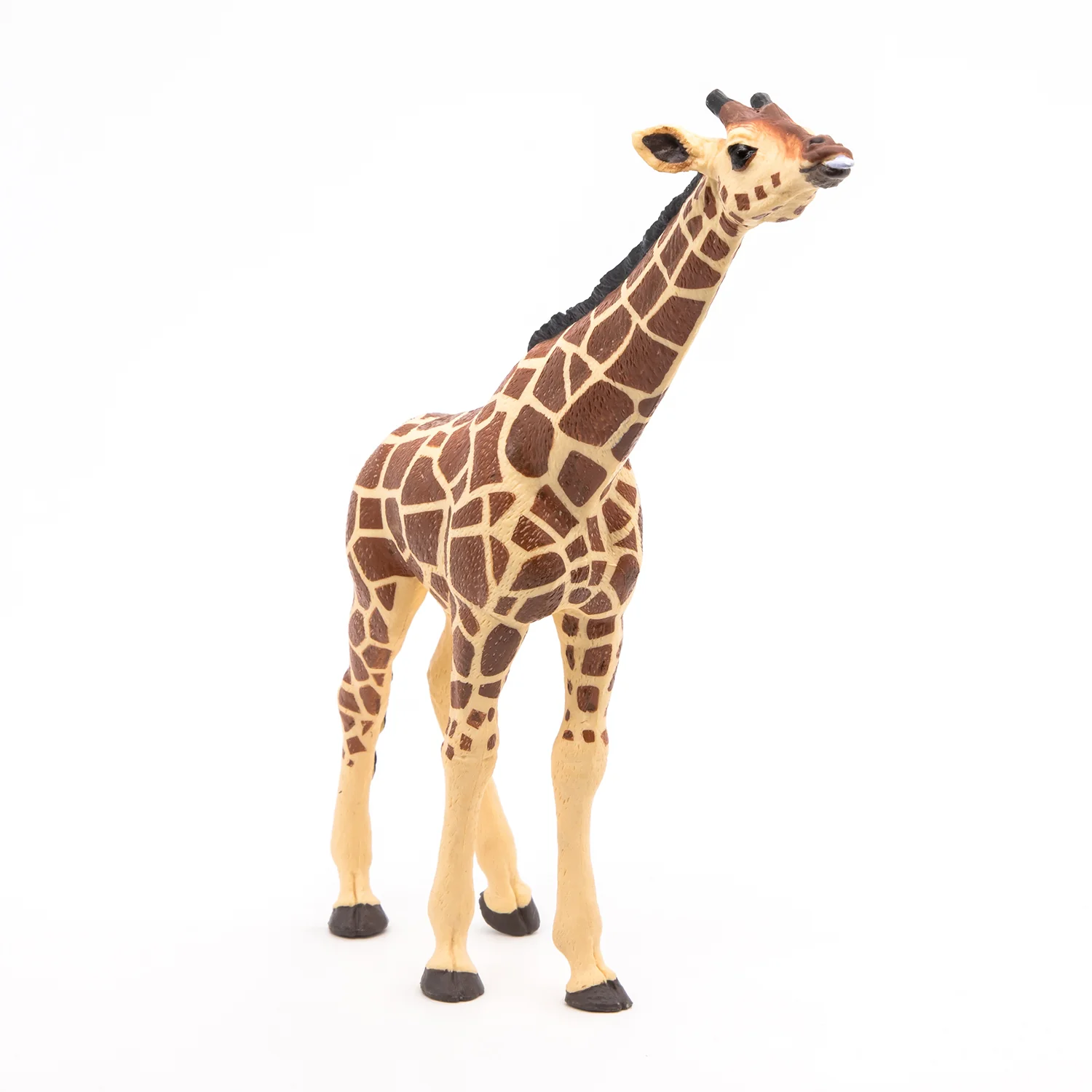 Miniature 5