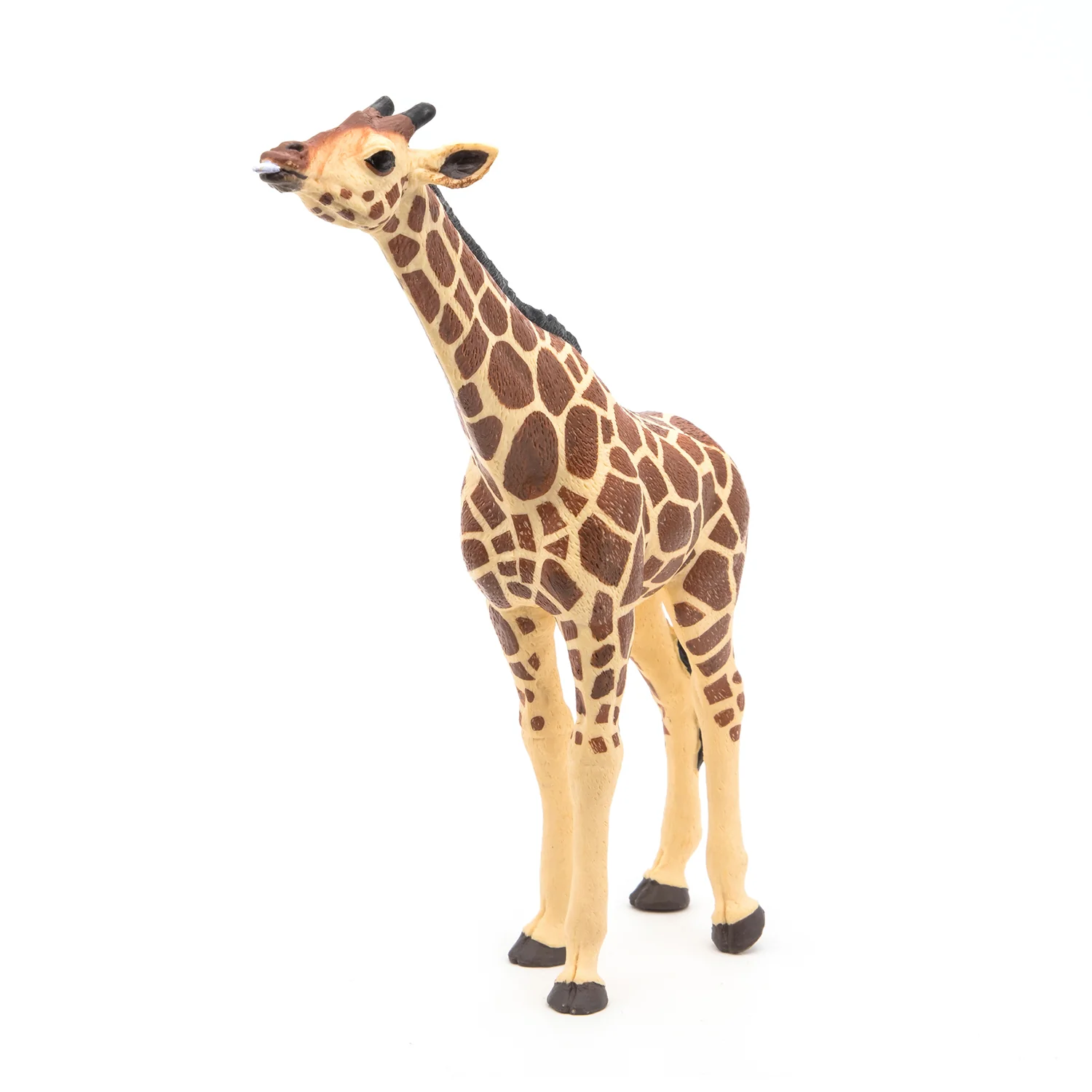 Miniature 6