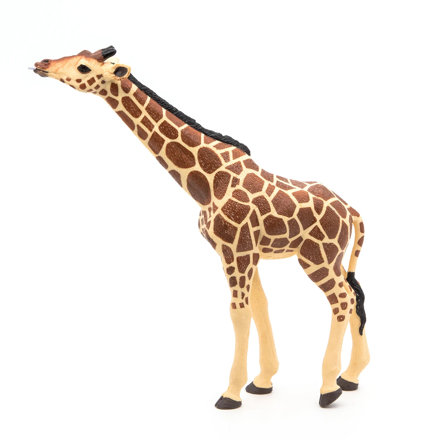 Miniature 7