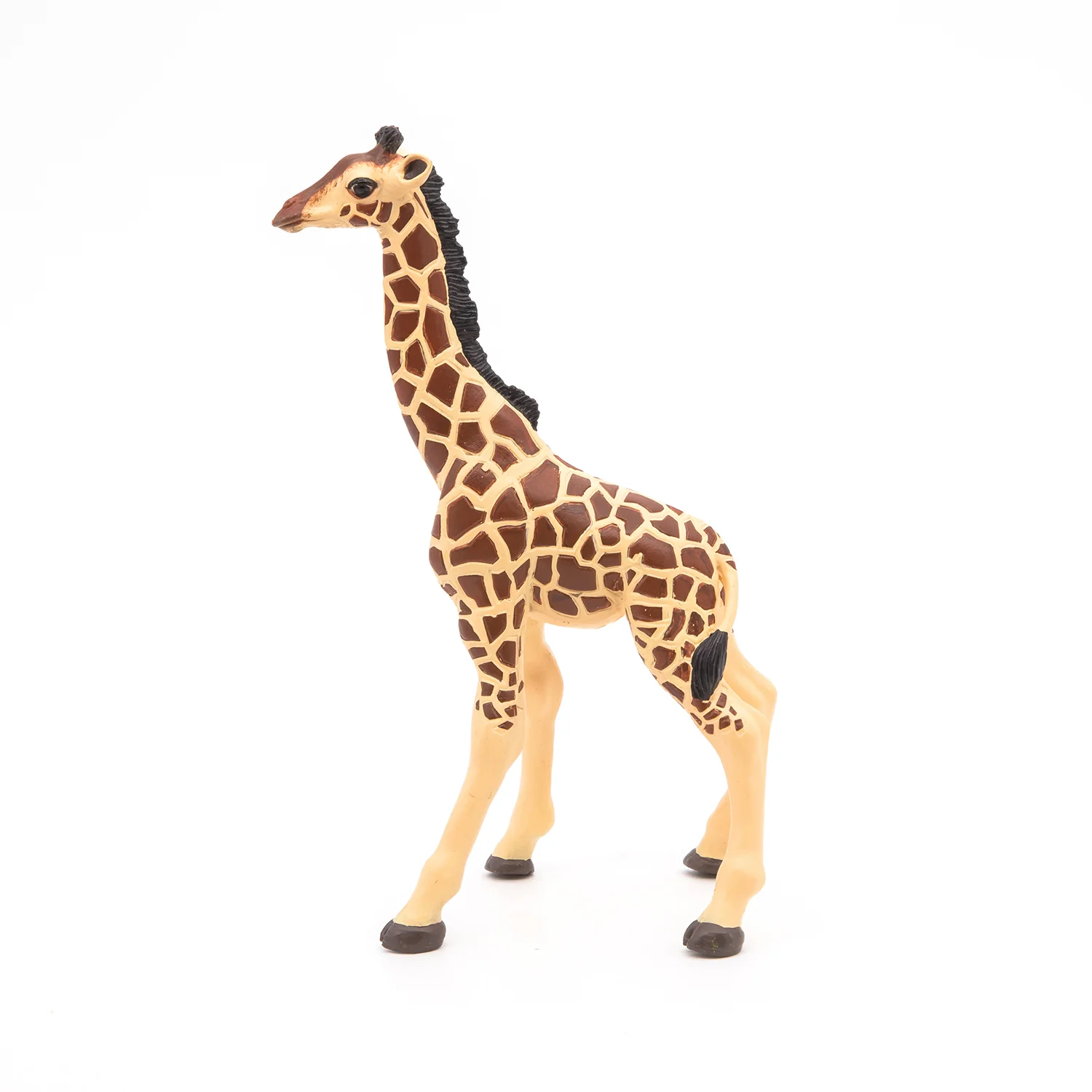 Miniature 5