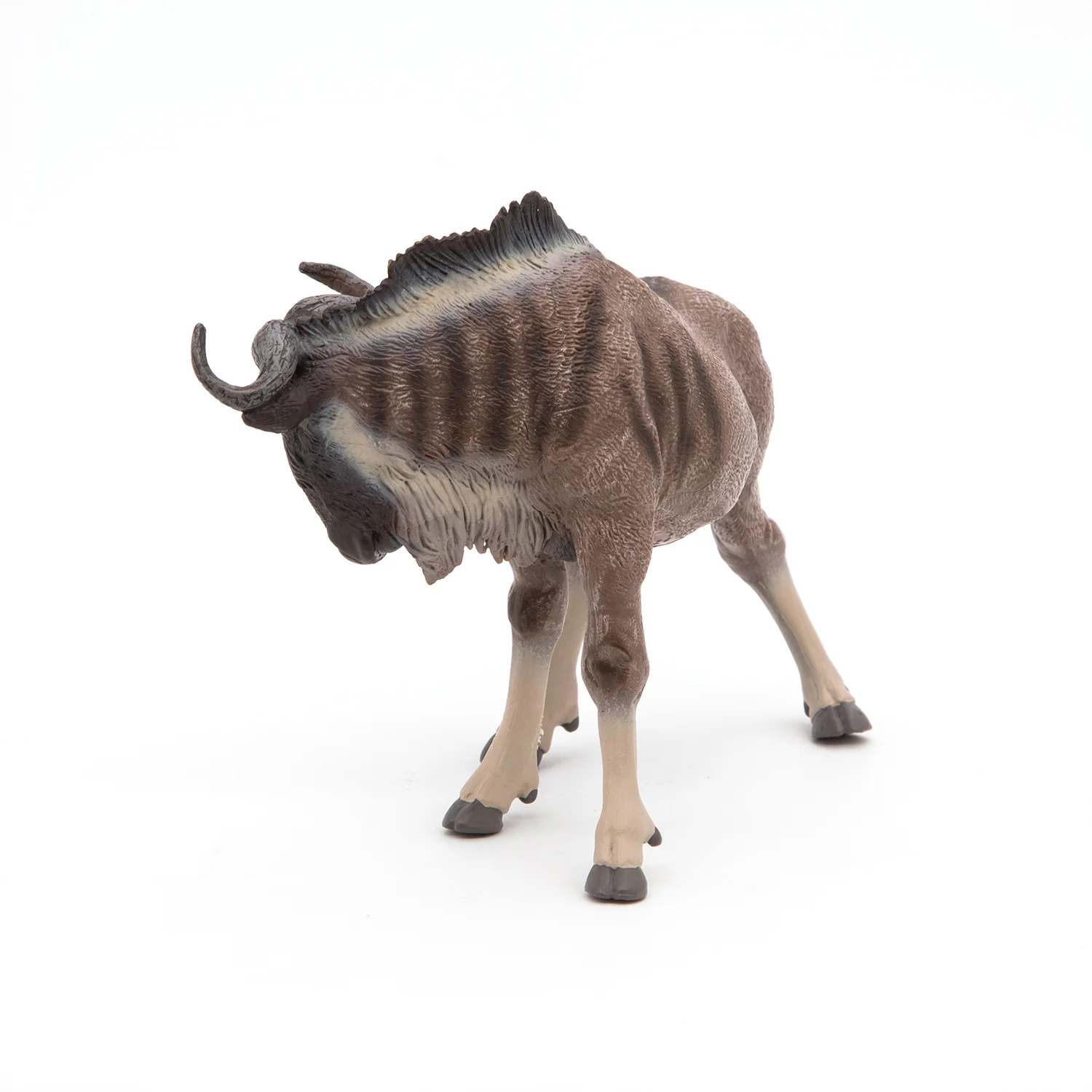 Miniature 5