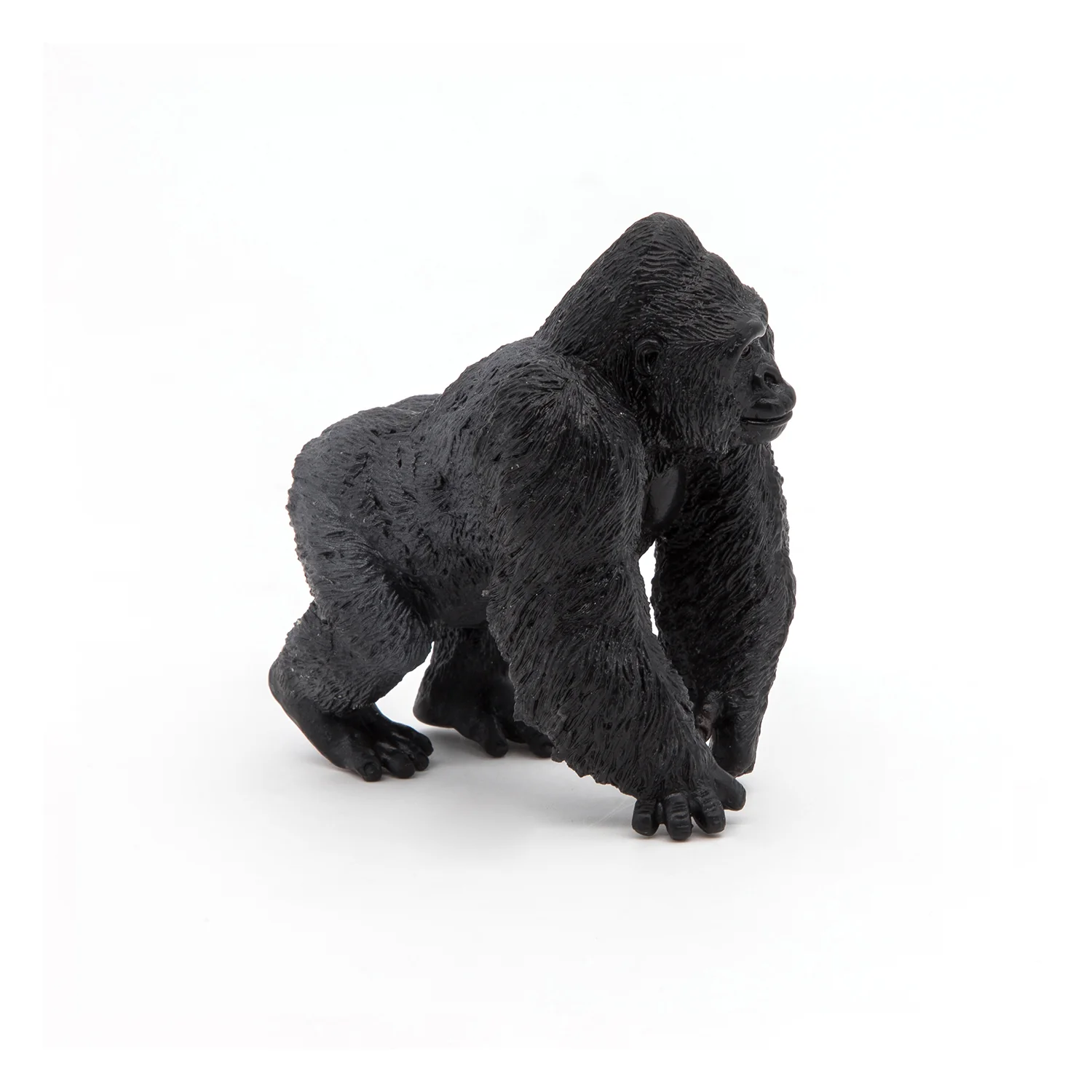 Miniature 5