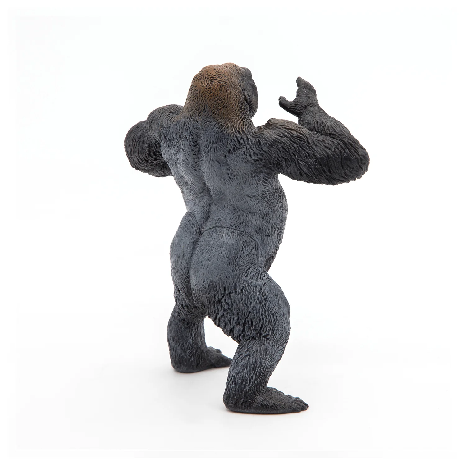 Miniature 5