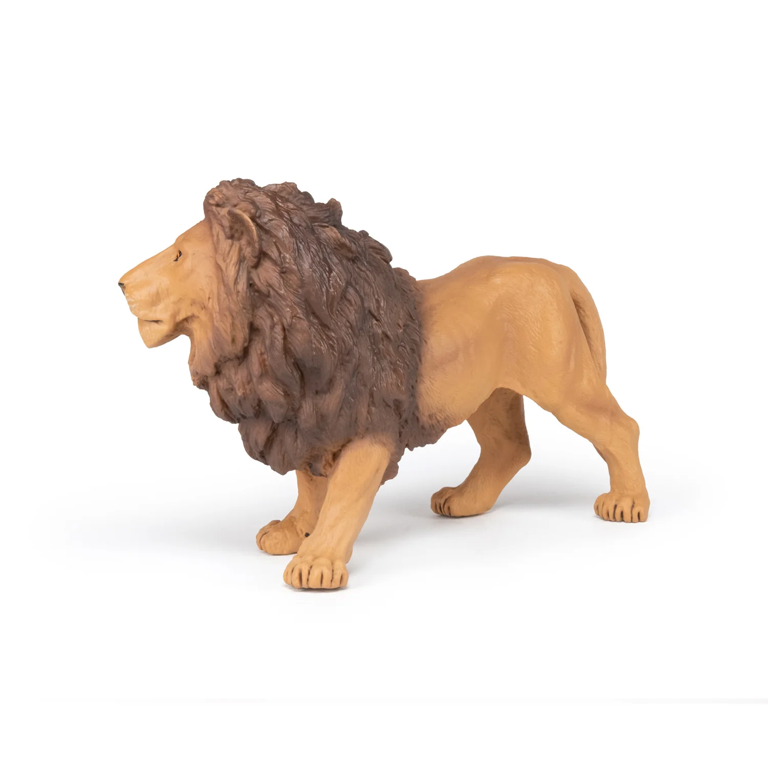 Miniature 5
