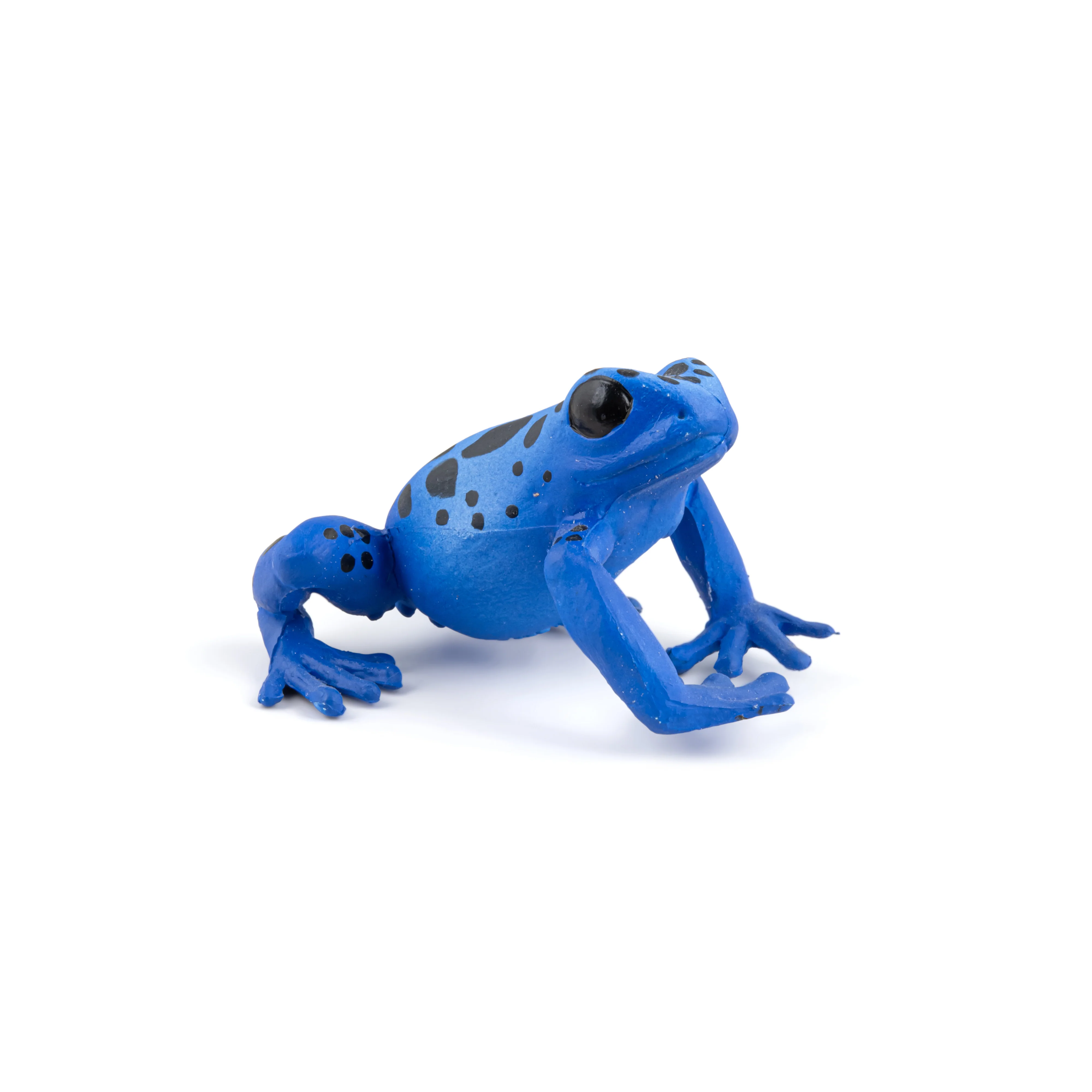 Miniature 4