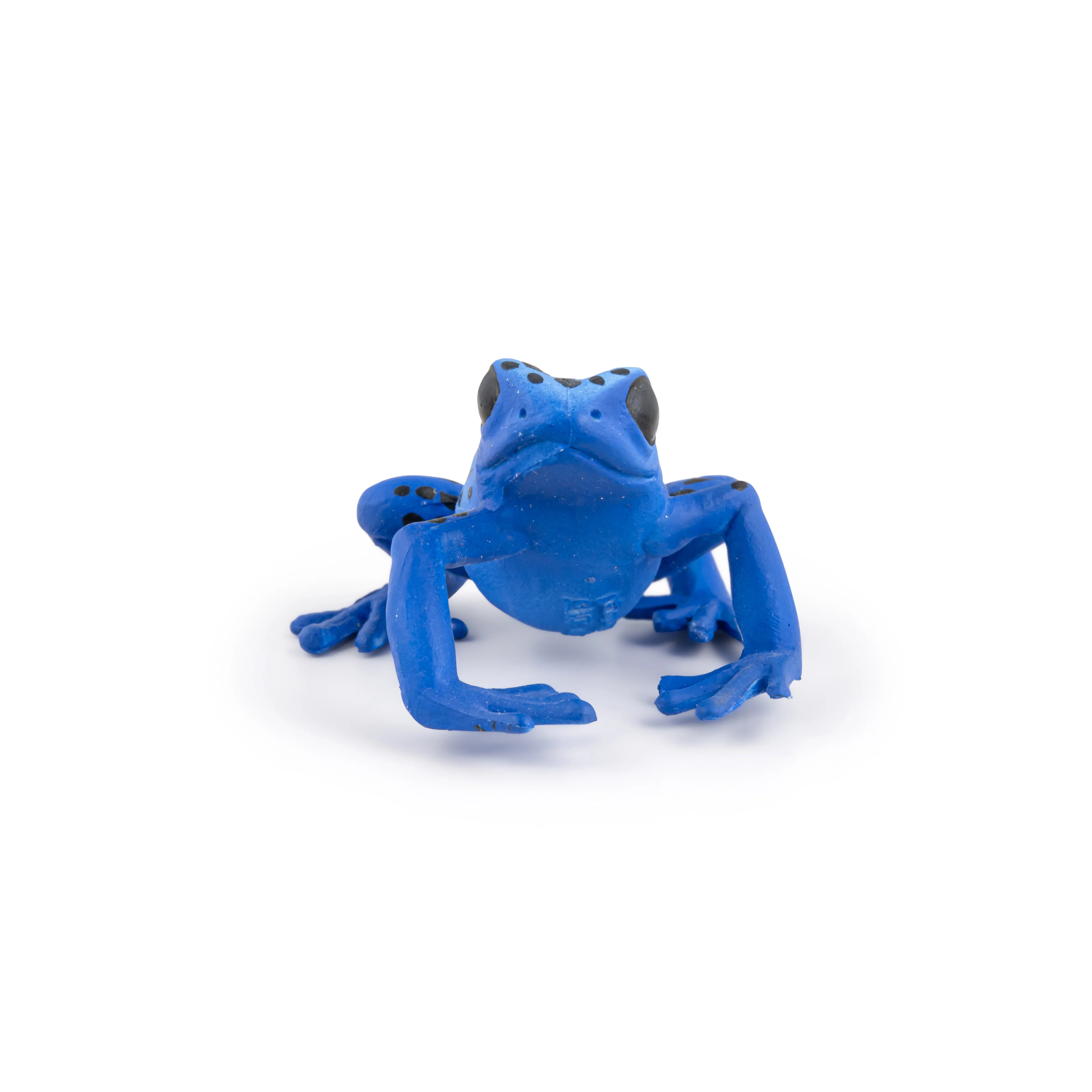Miniature 5