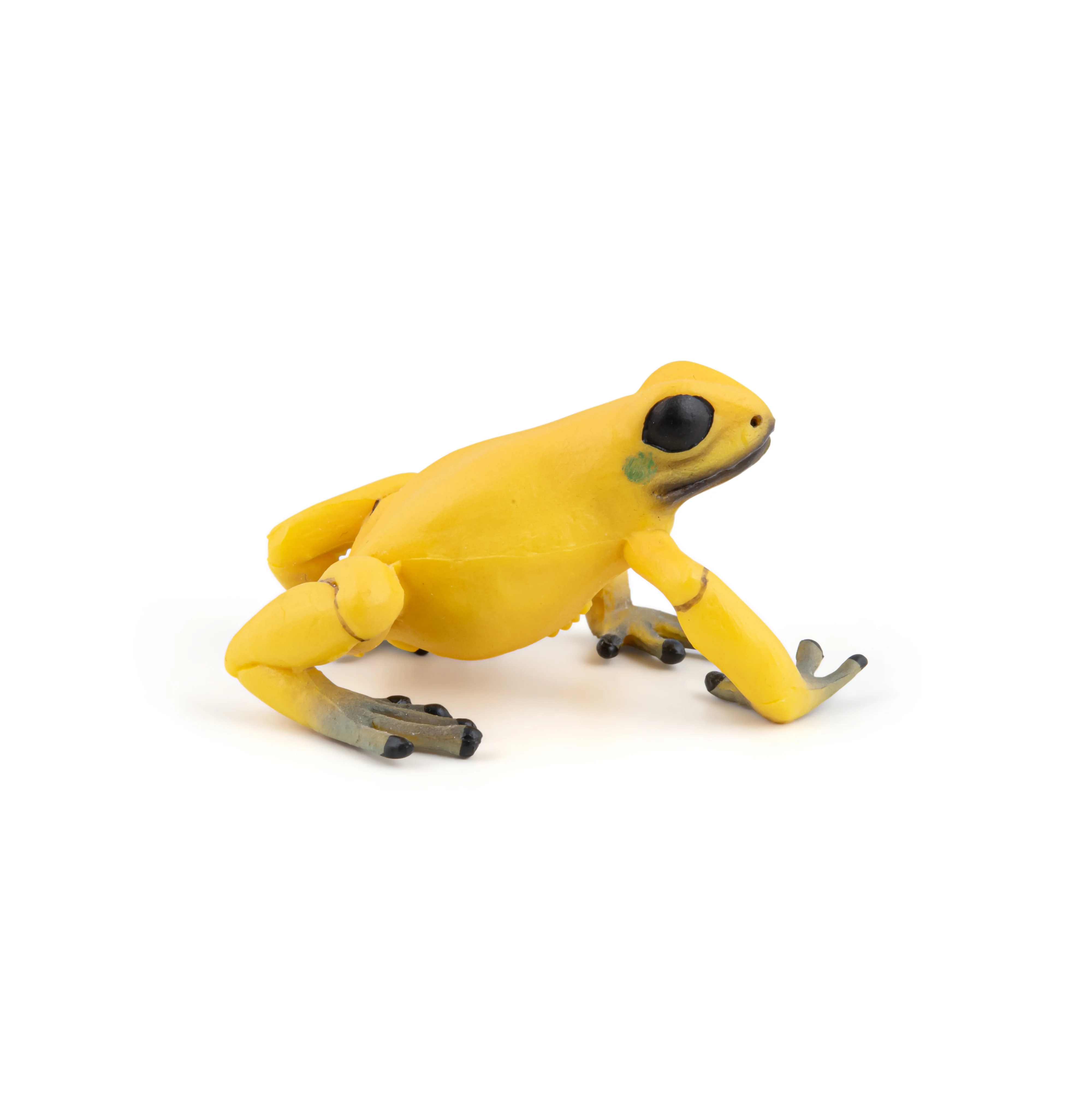 Miniature 4