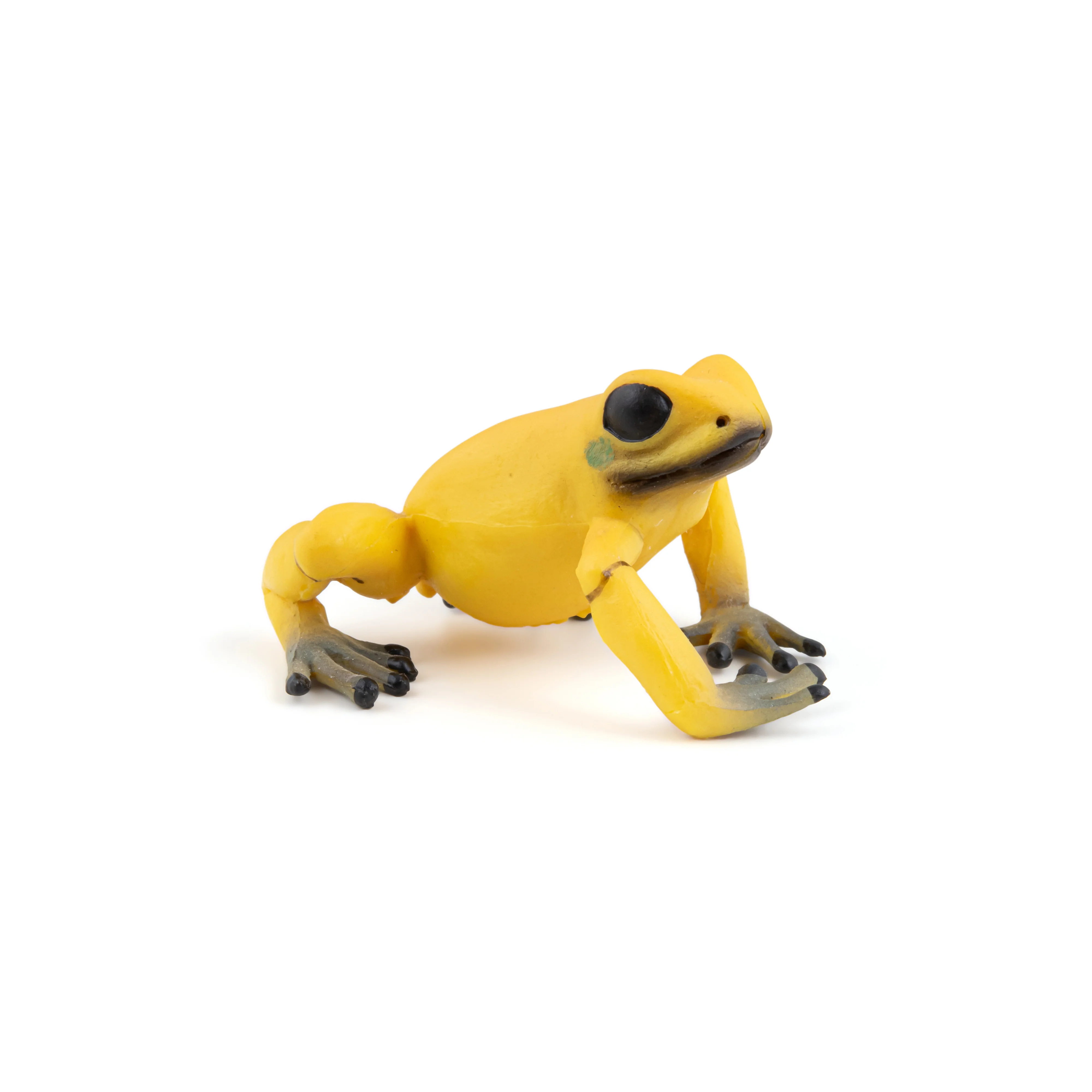 Miniature 5