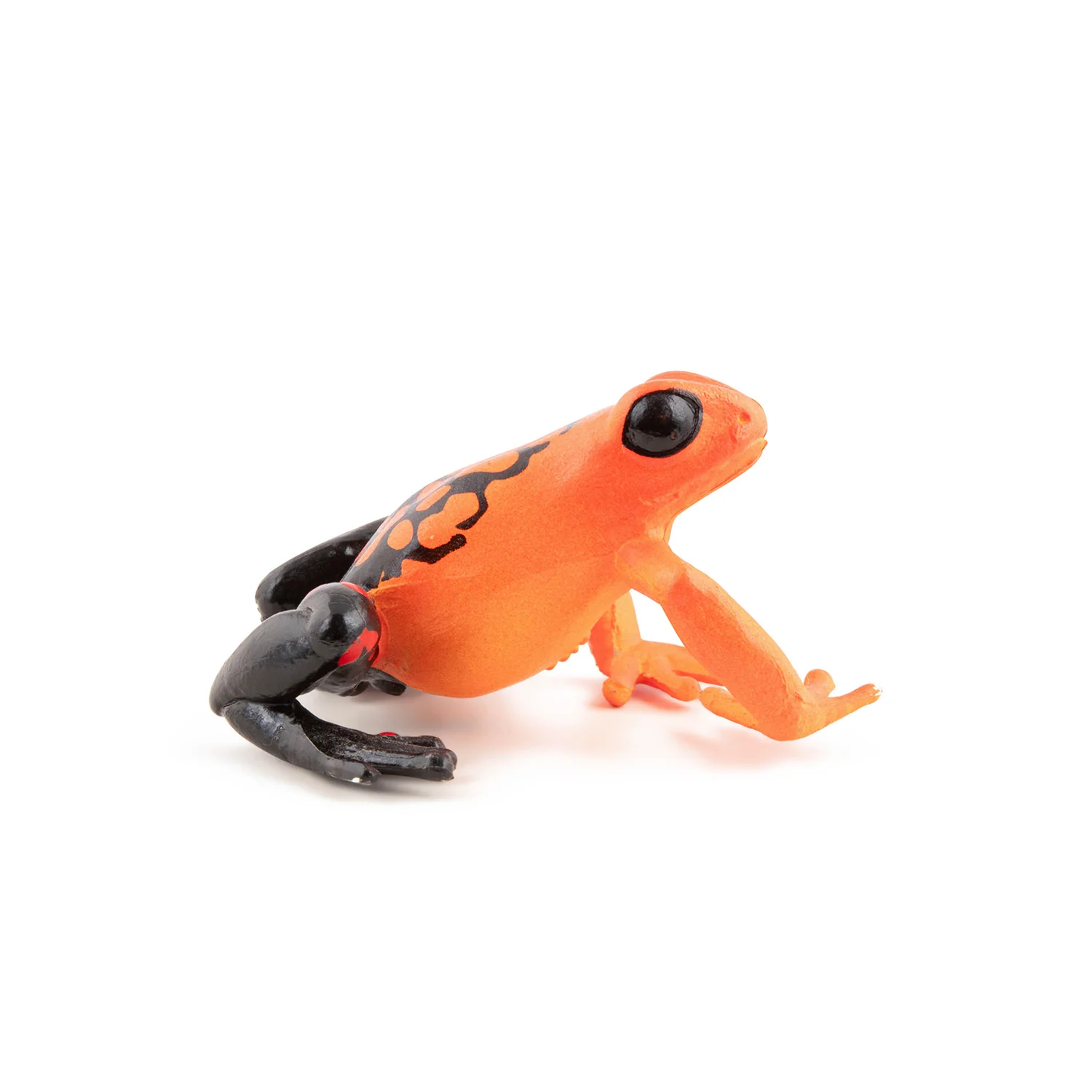 Miniature 5