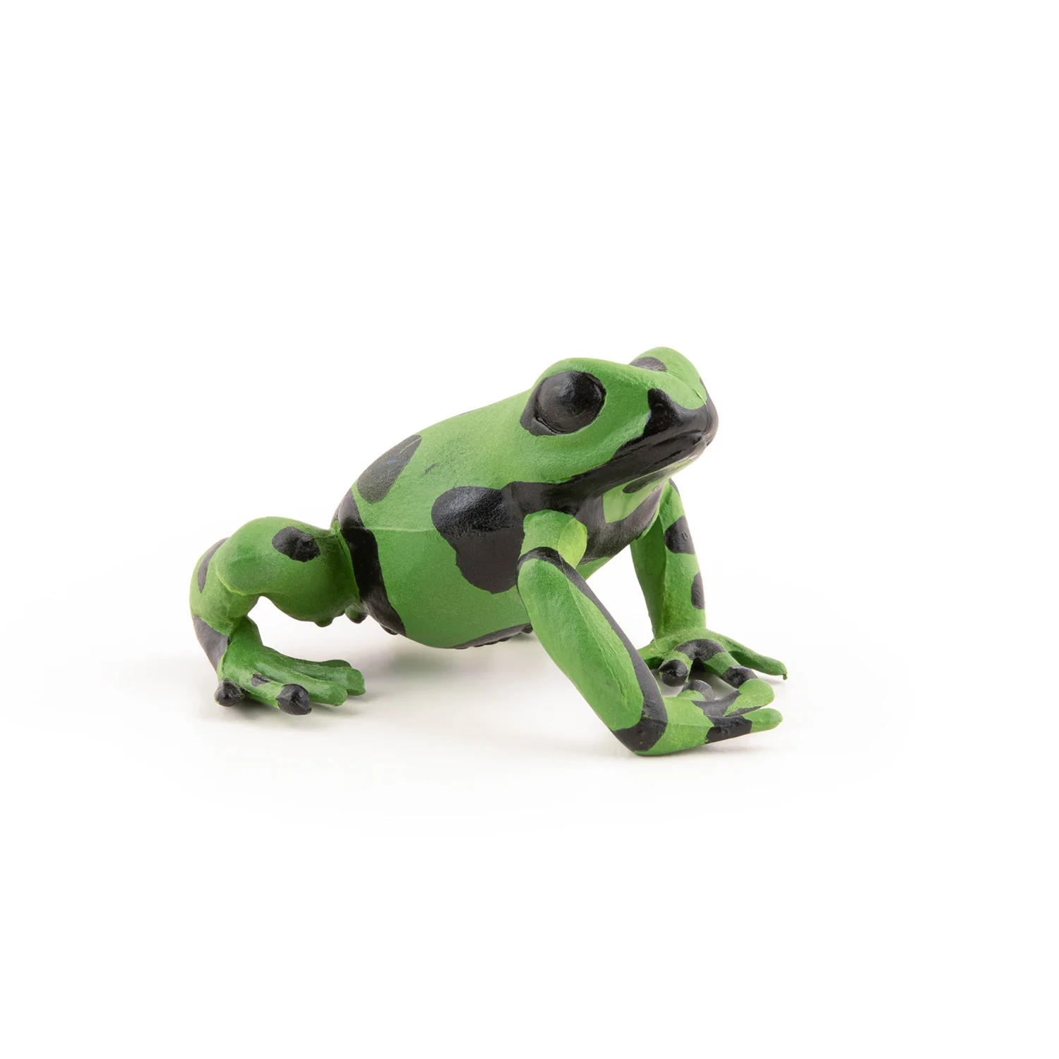 Miniature 4