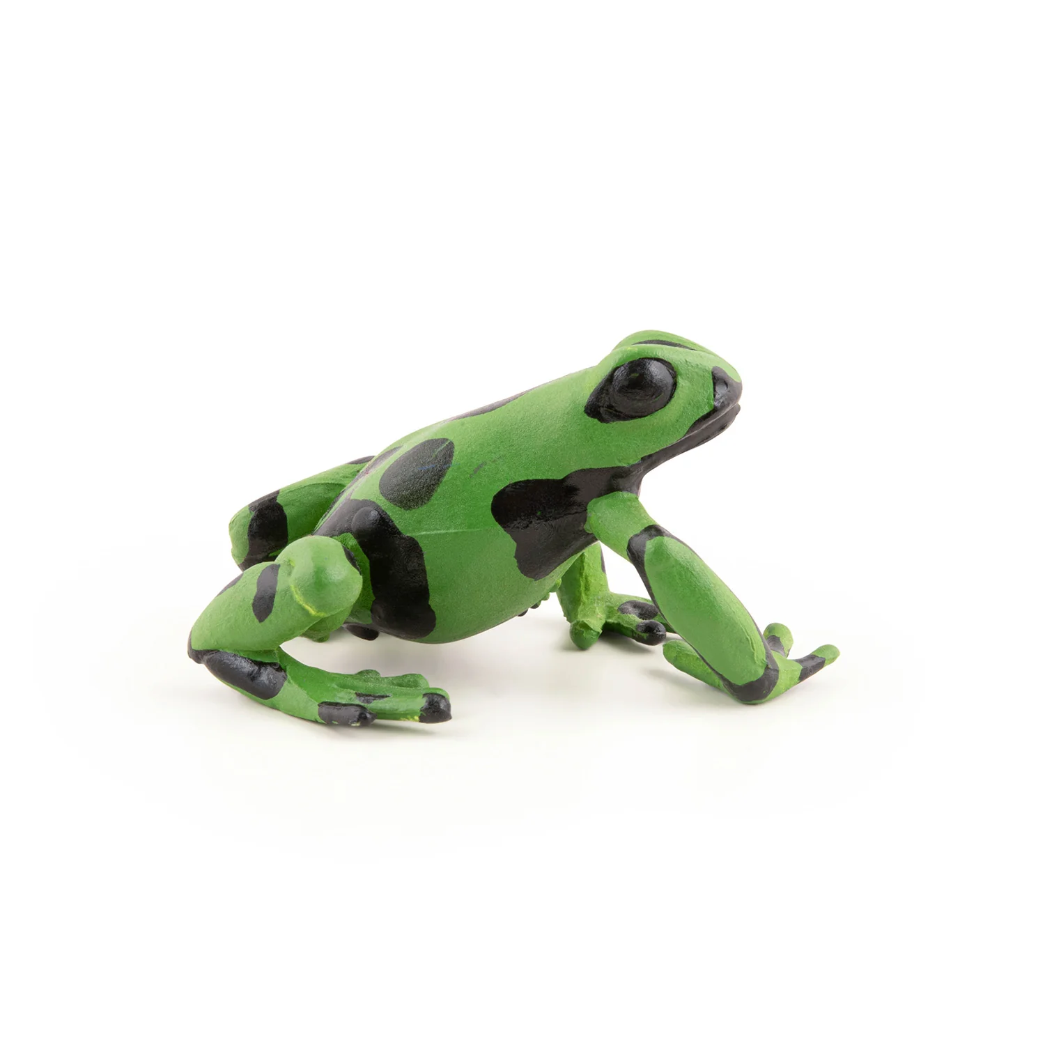 Miniature 5