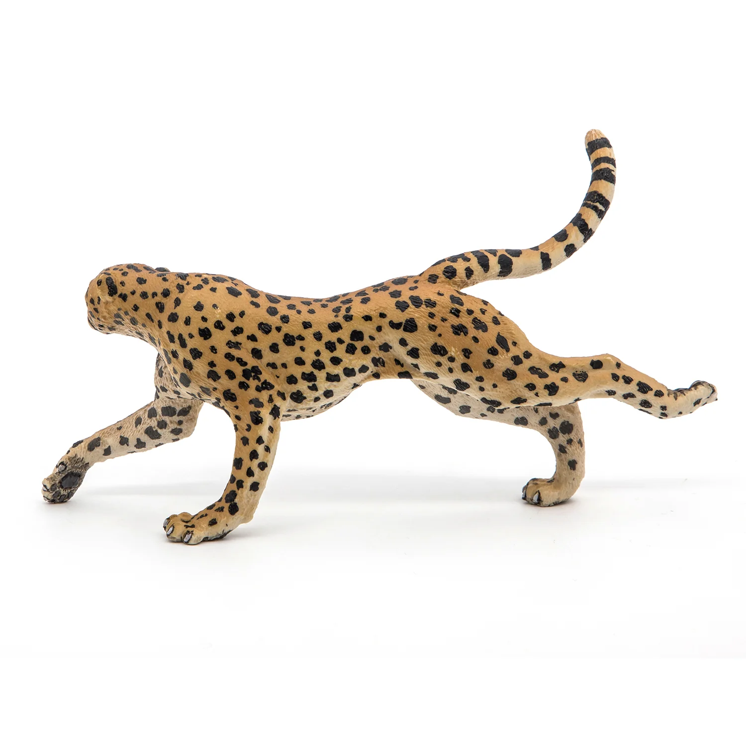 Miniature 5