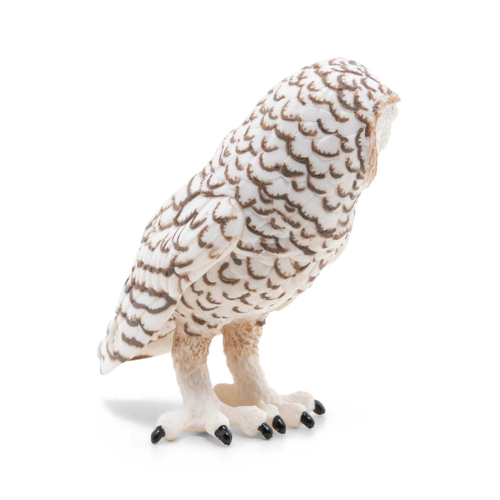 Miniature 5